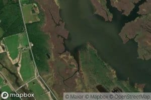 Buzzard Island Creek