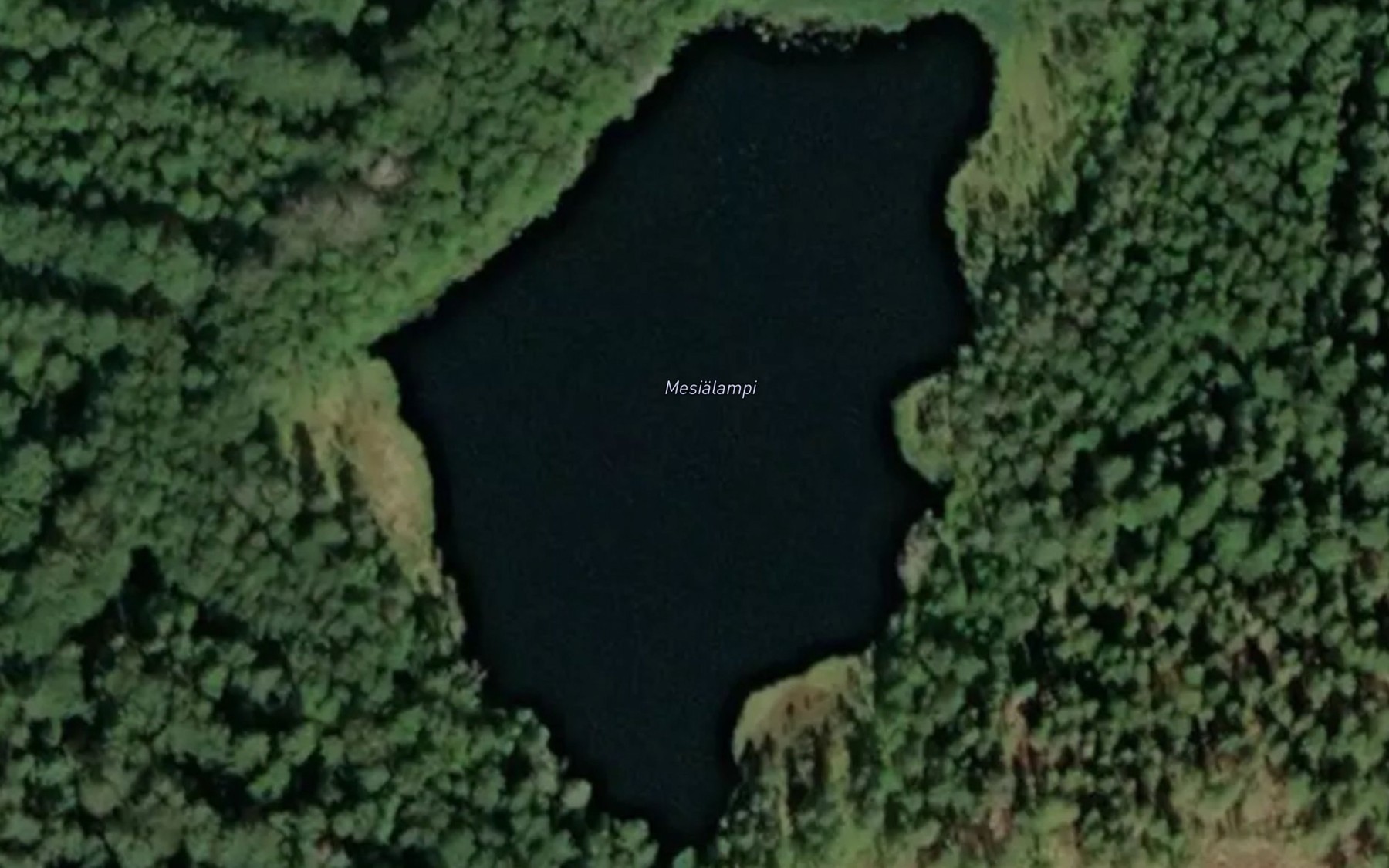 Satellite map of the Mesialampi