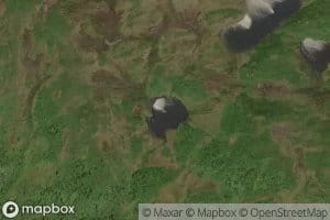 Bergklumptjorna,litle