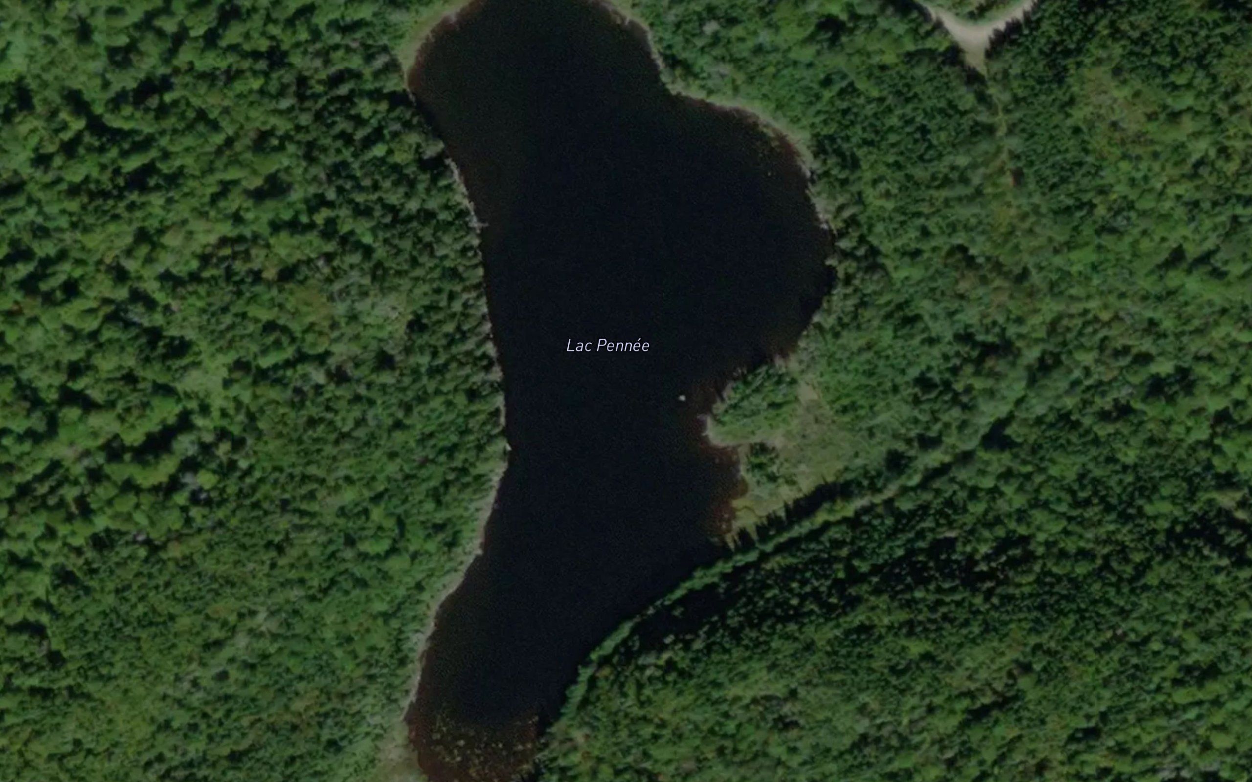 Lac Pennee
