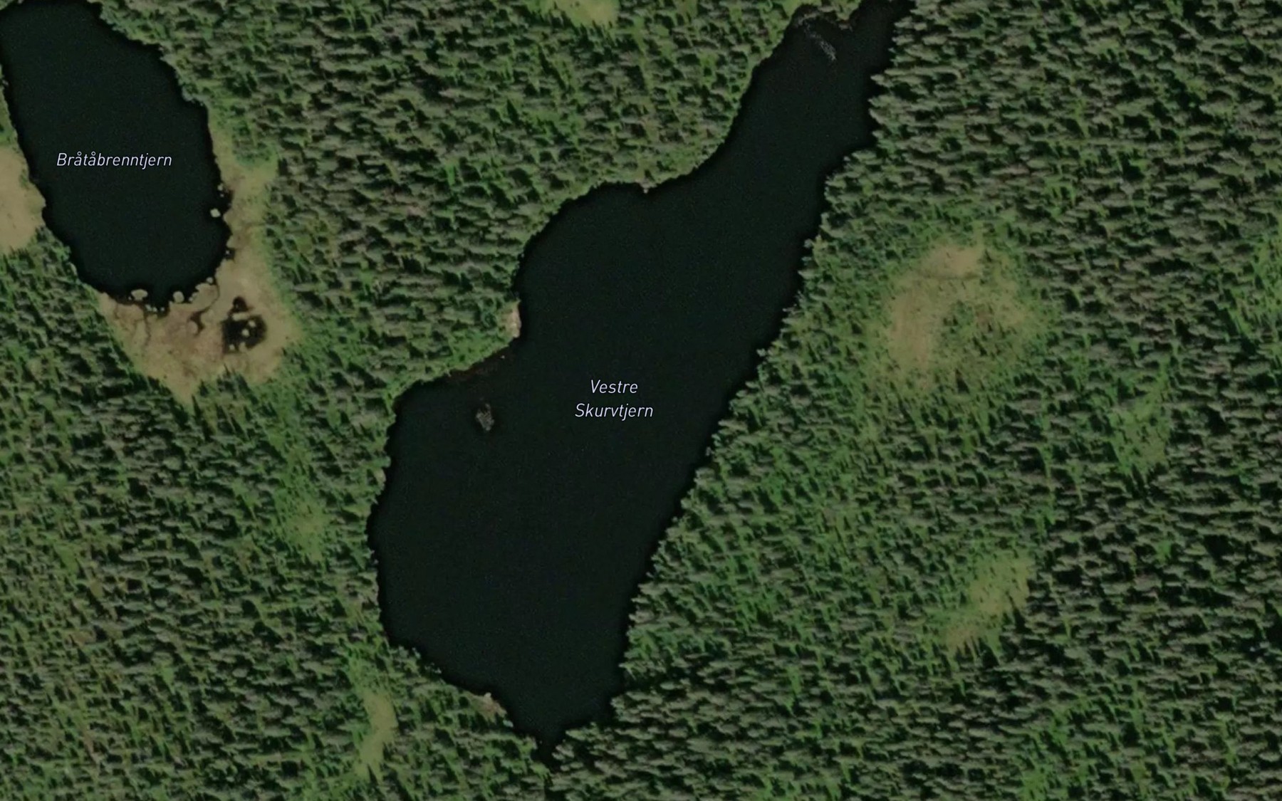 Satellite map of the Skurvetjern