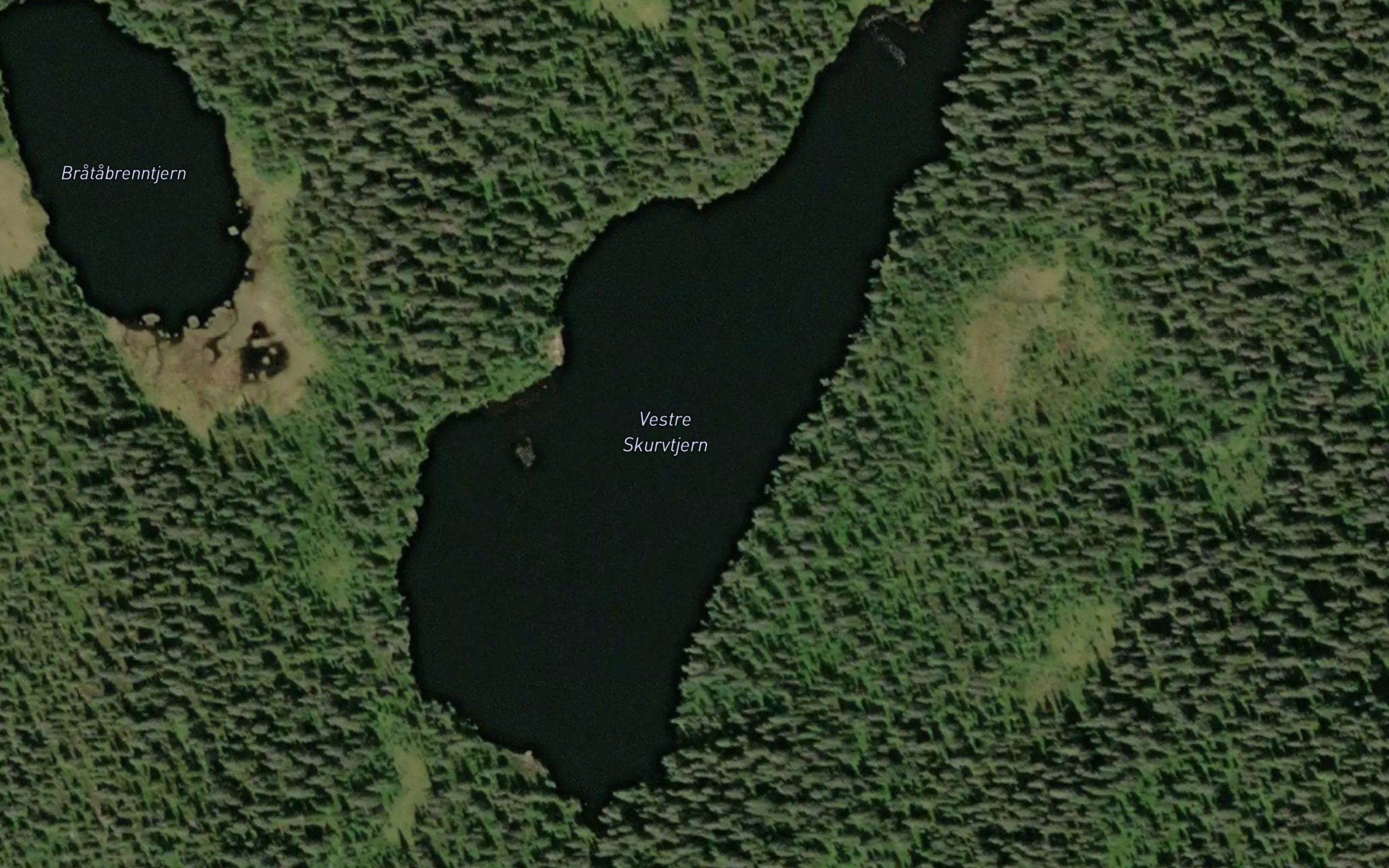 Skurvetjern