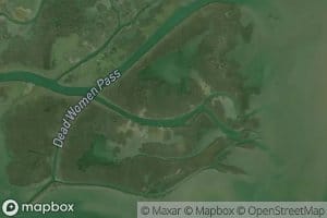 Dead Women Inside Pond