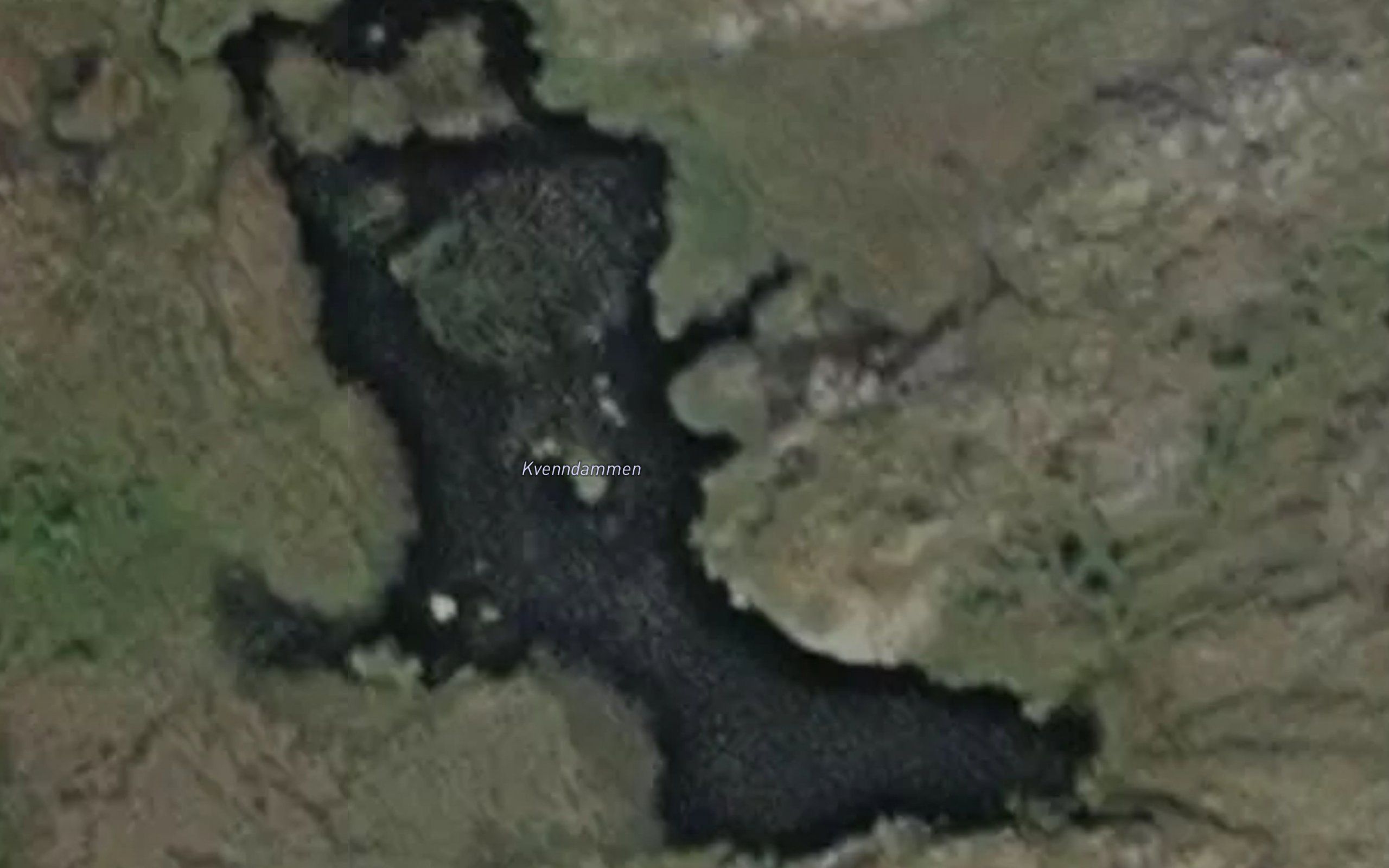 Kvenndammen