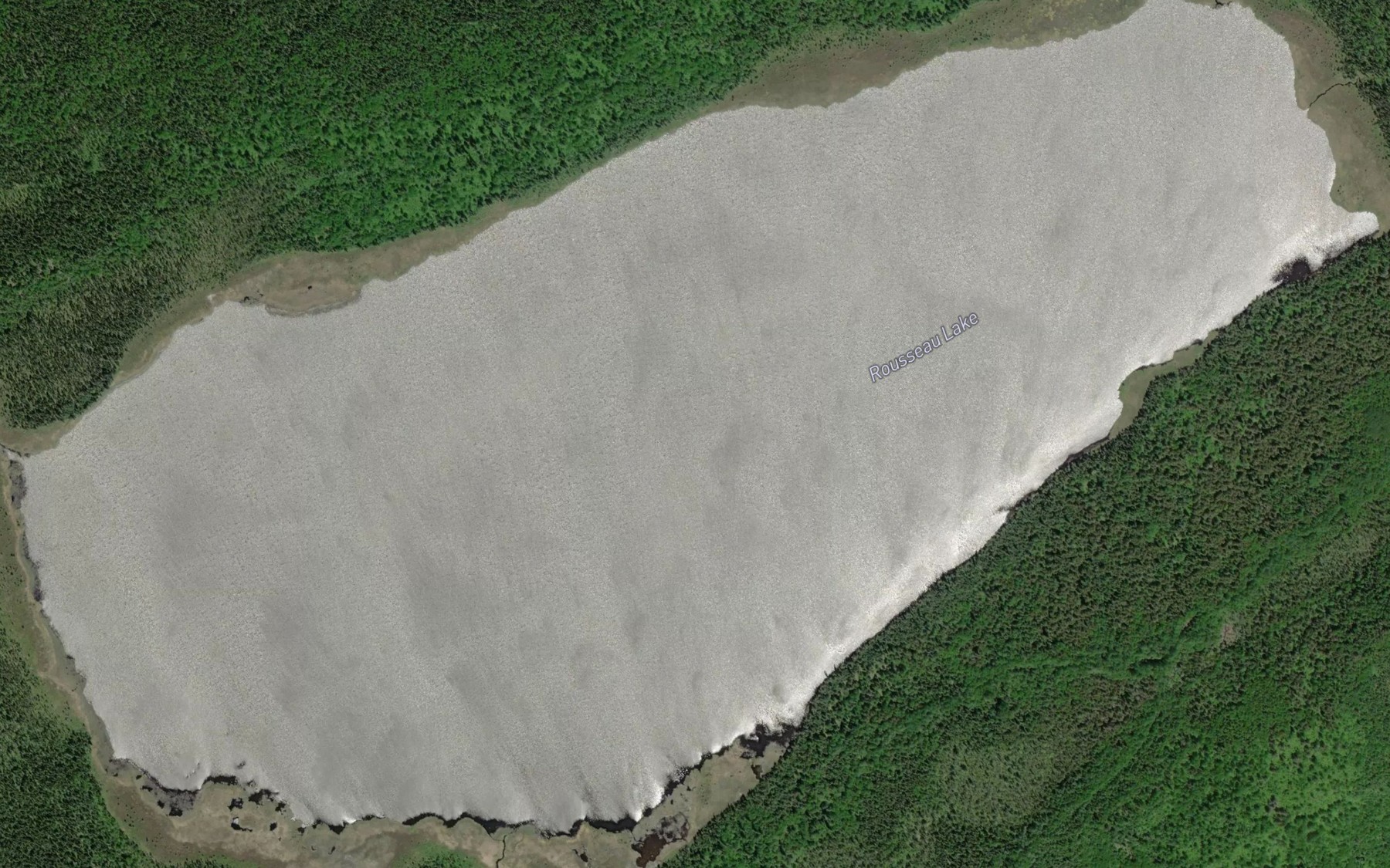 Satellite map of the Rousseau Lake
