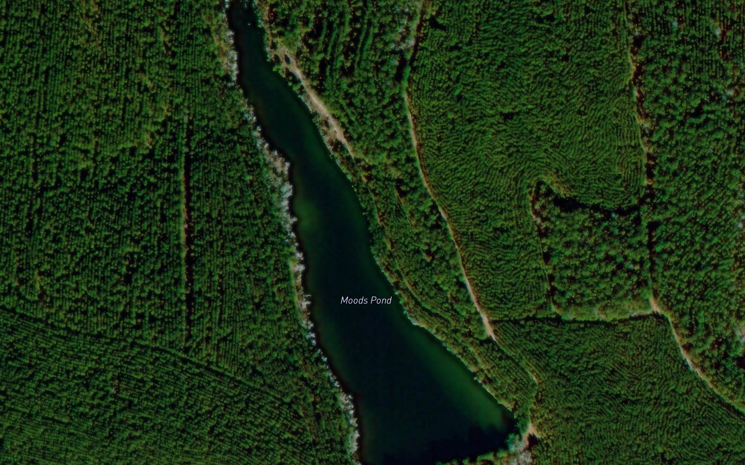 Moods Pond