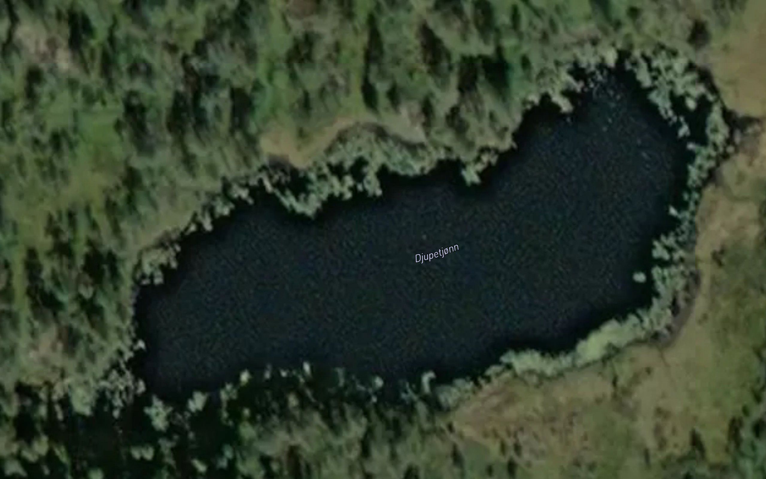 Djupetjonn