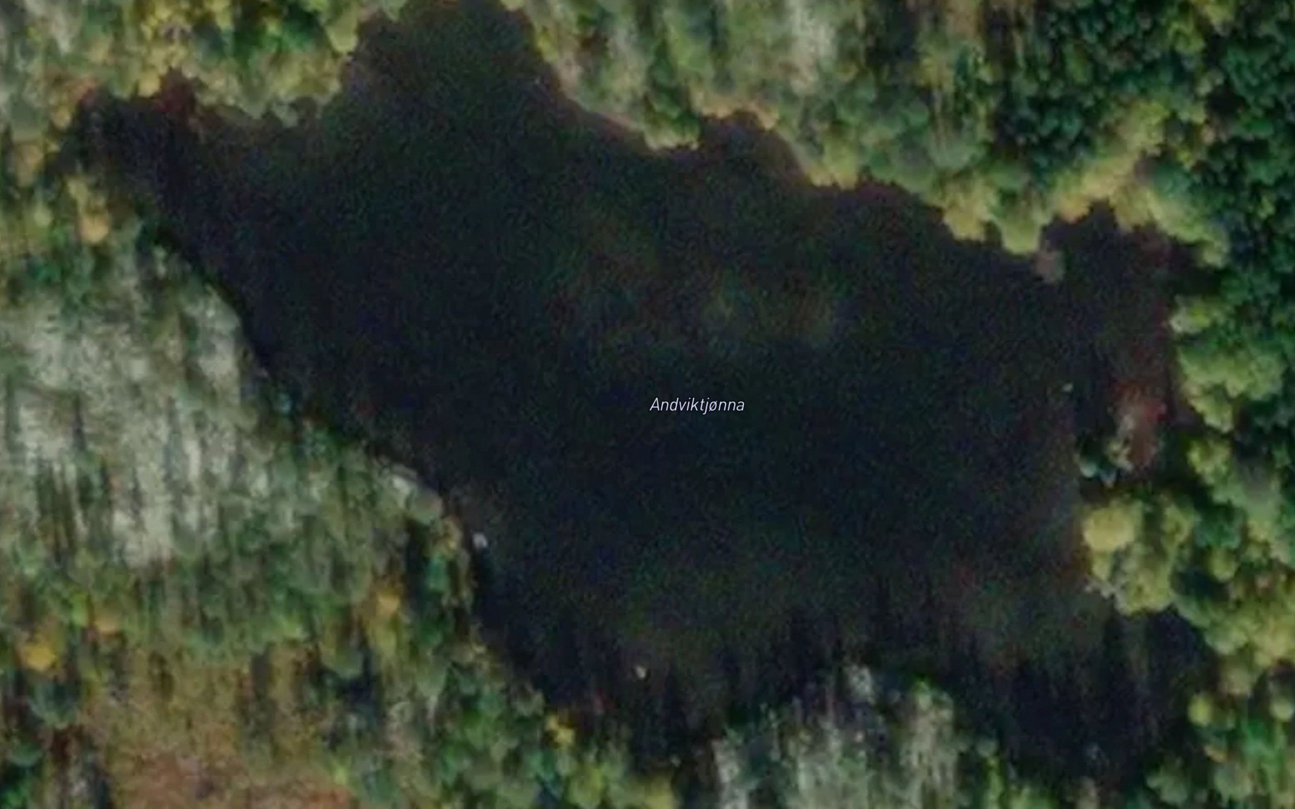 Andviktjorna