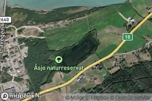 Arsjo