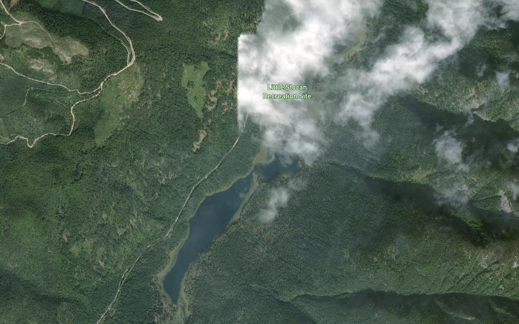 Satellite map of the Lower Little Slocan Lake