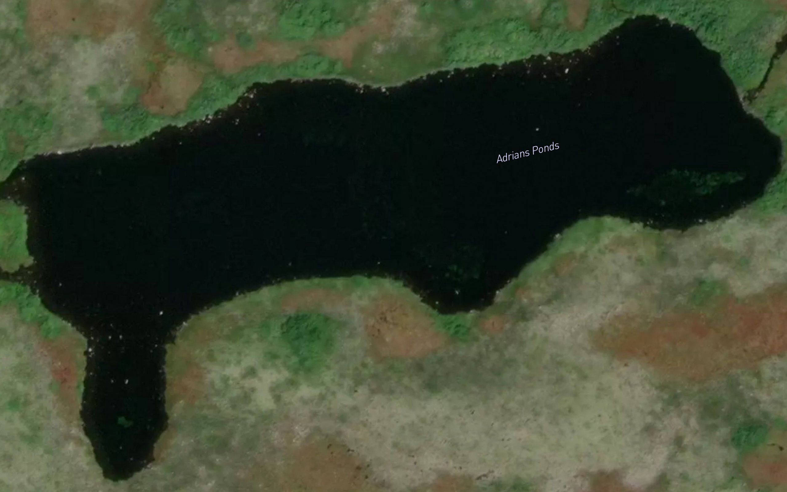 Adrians Ponds