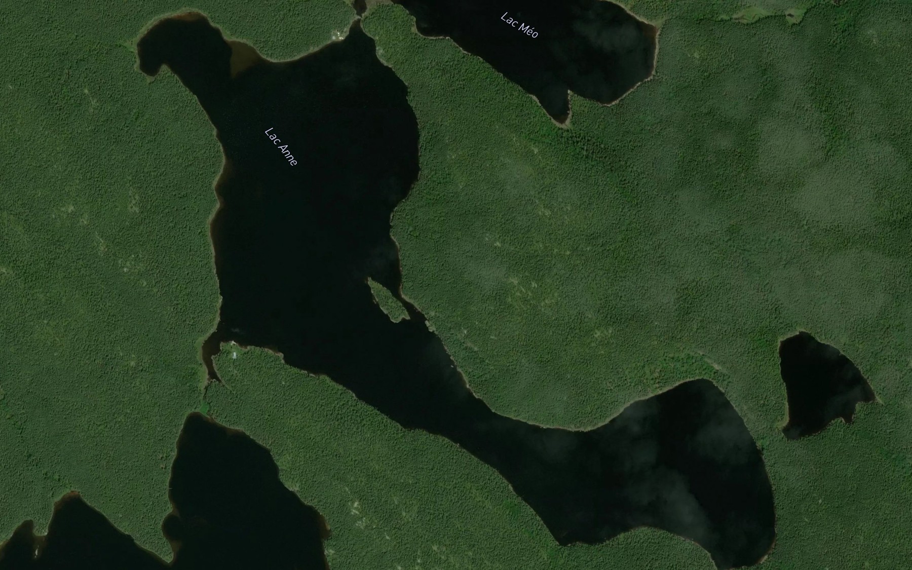 Satellite map of the Lac Anne