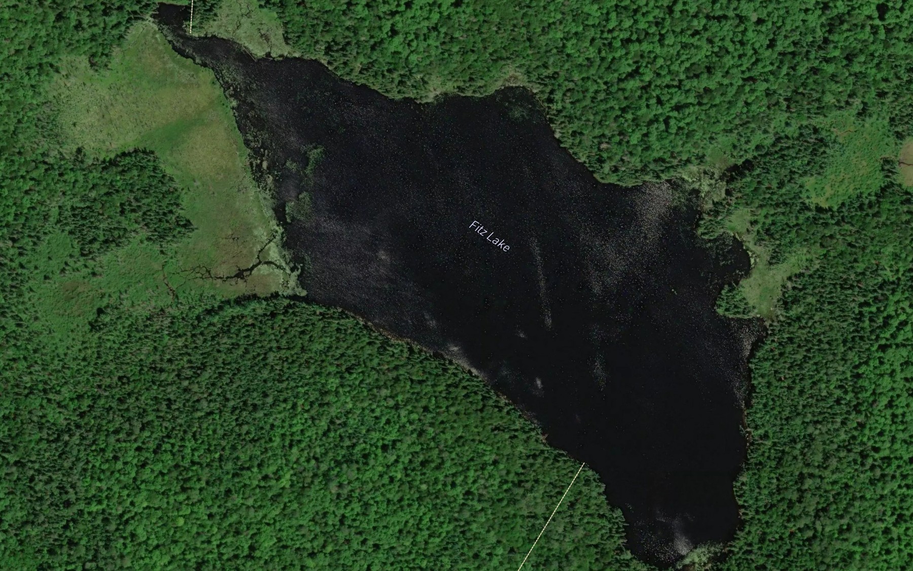 Satellite map of the Fitz Lake