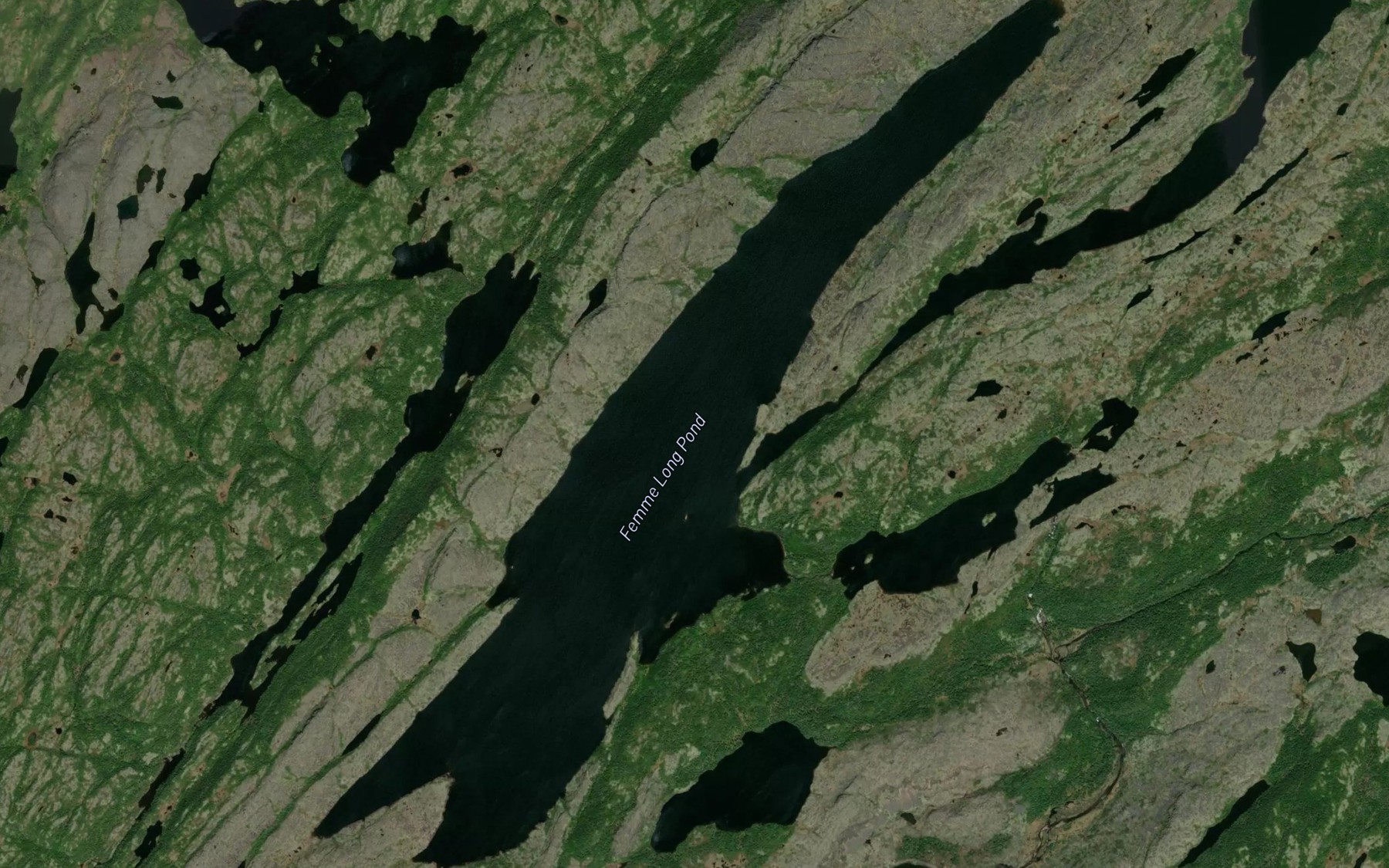 Satellite map of the Femme Long Pond