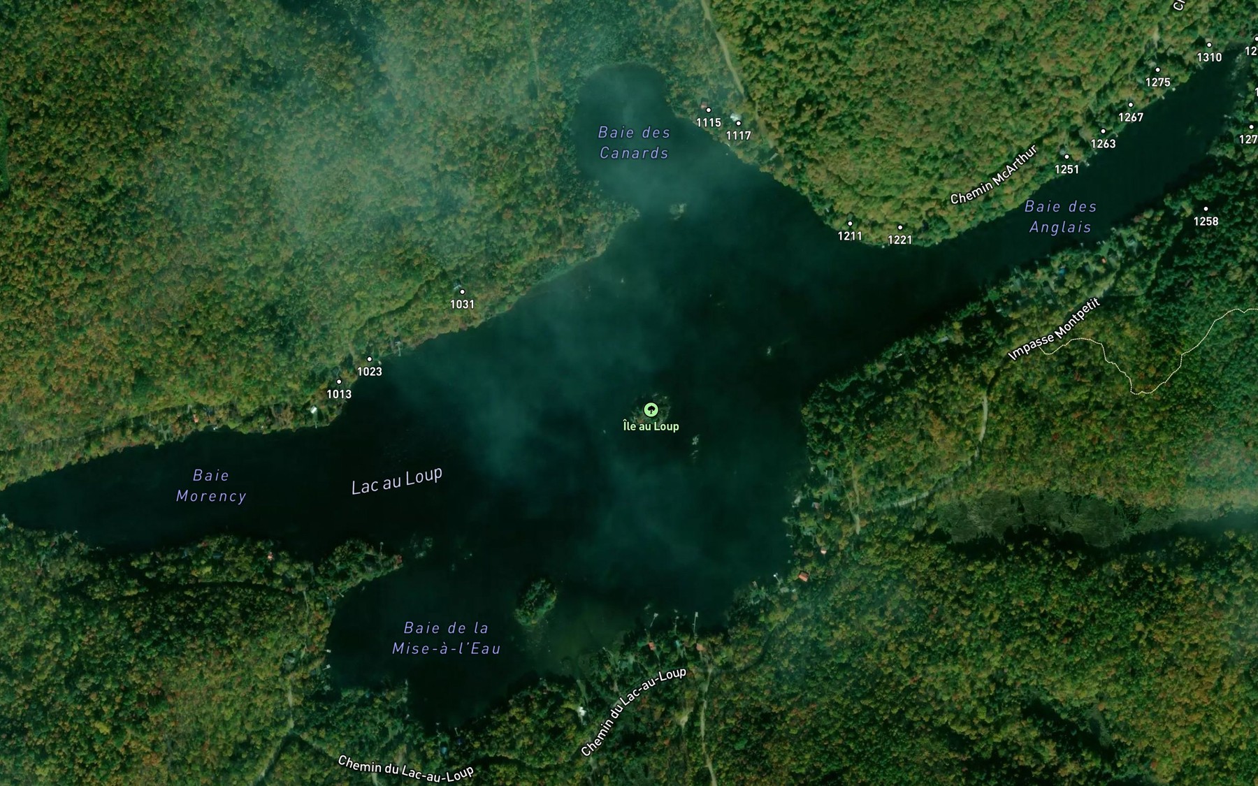 Satellite map of the Lac au Loup