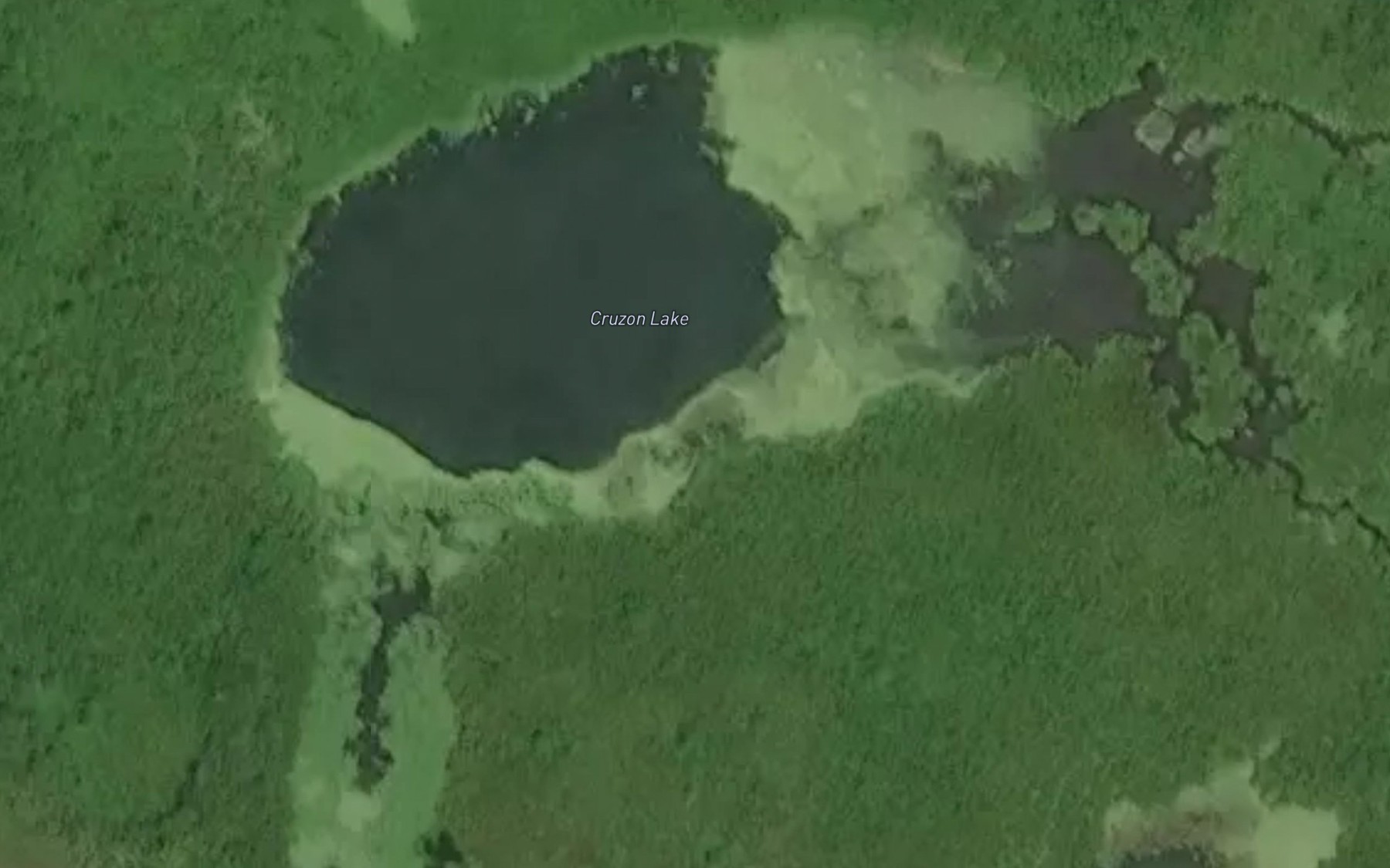 Satellite map of the Cruzon Lake