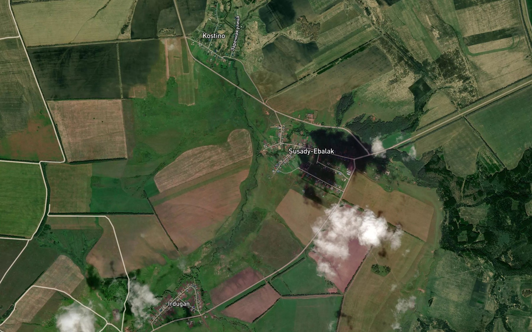 Satellite map of the Shady