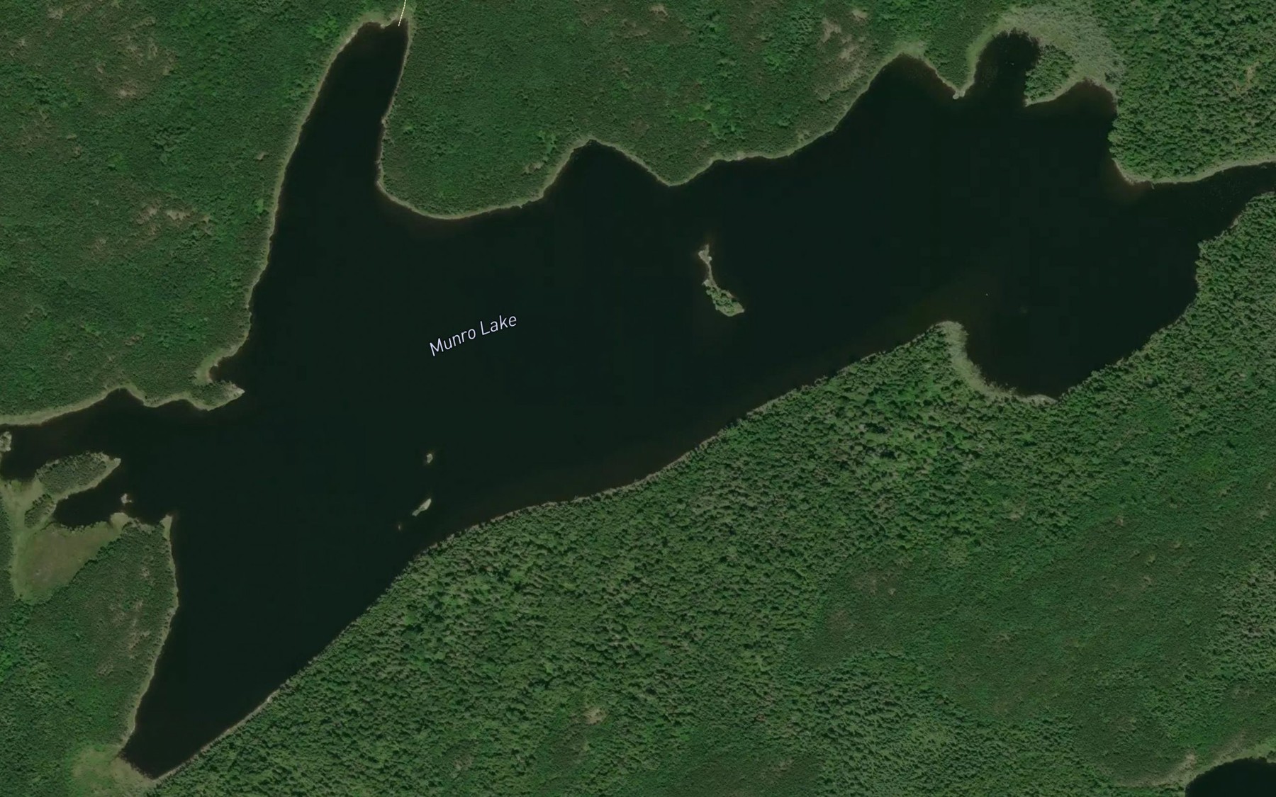 Satellite map of the Munro Lake