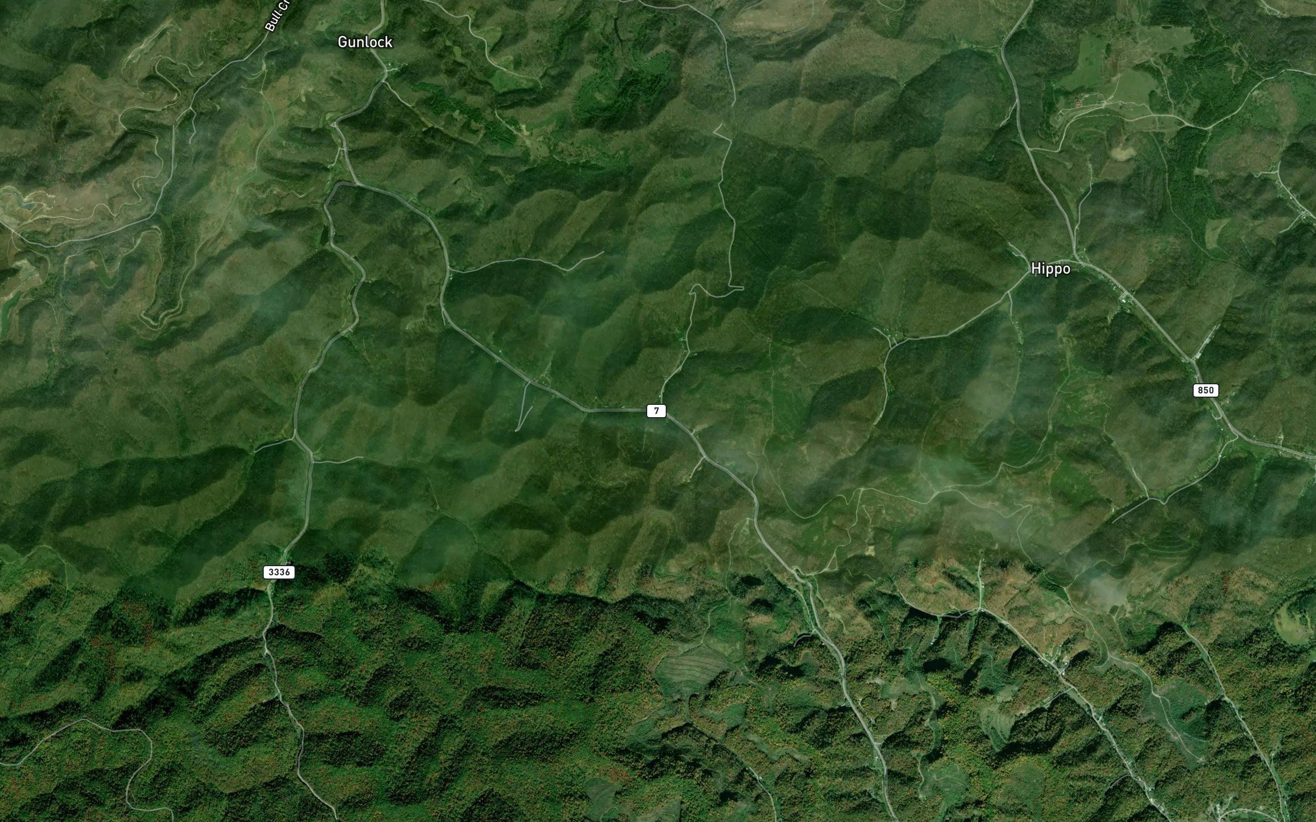 Sprucepine Branch