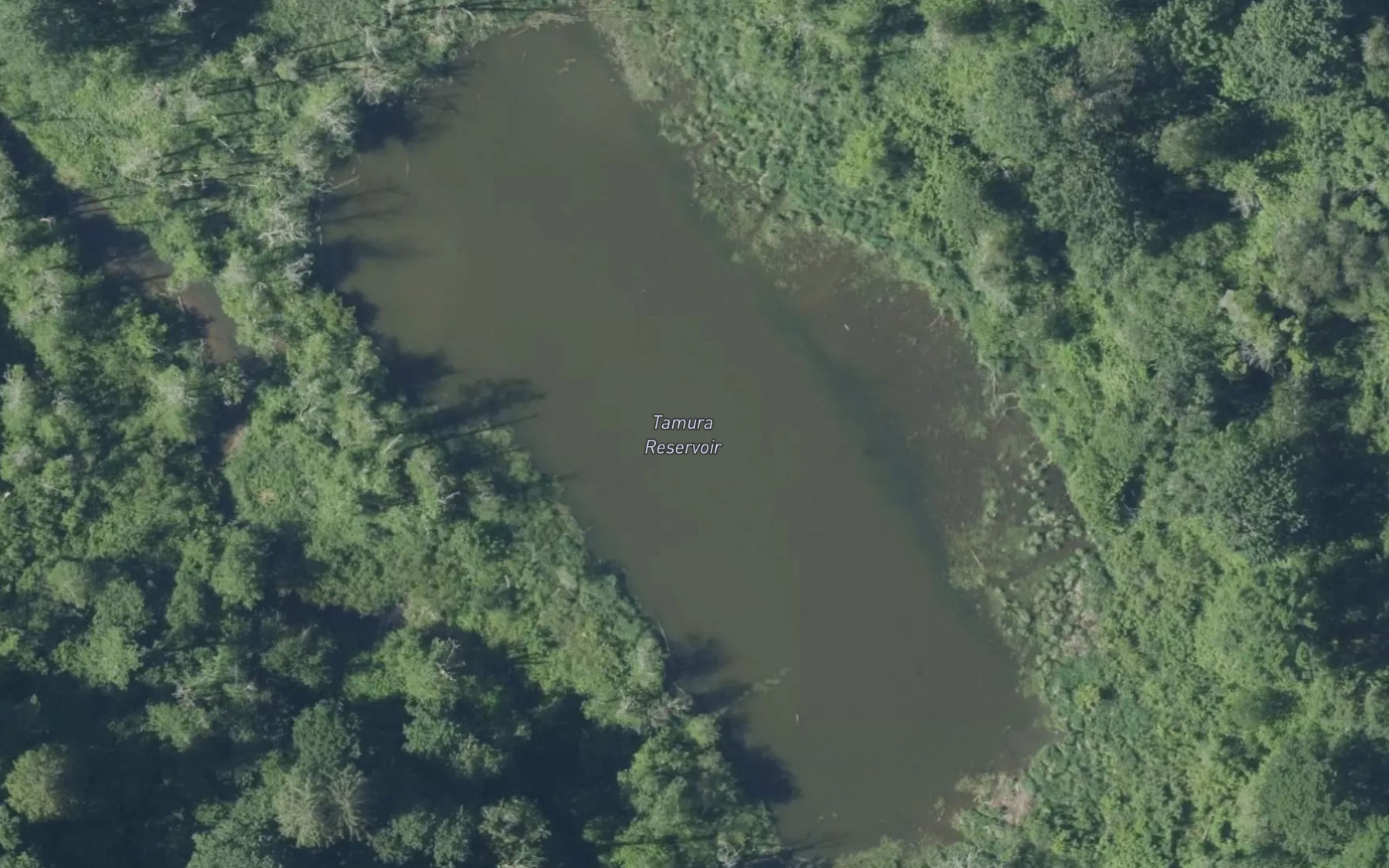 Satellite map of the Tamura Reservoir