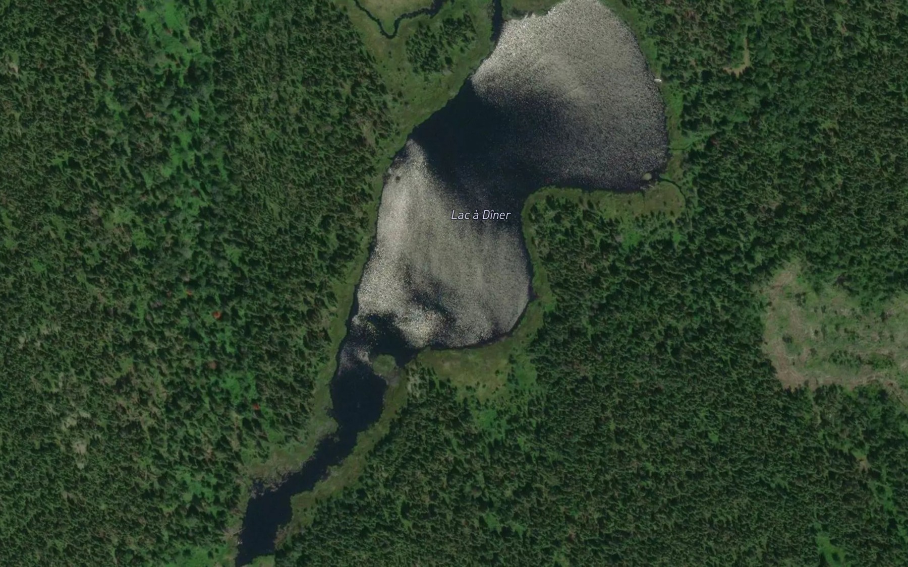 Satellite map of the Lac a Diner