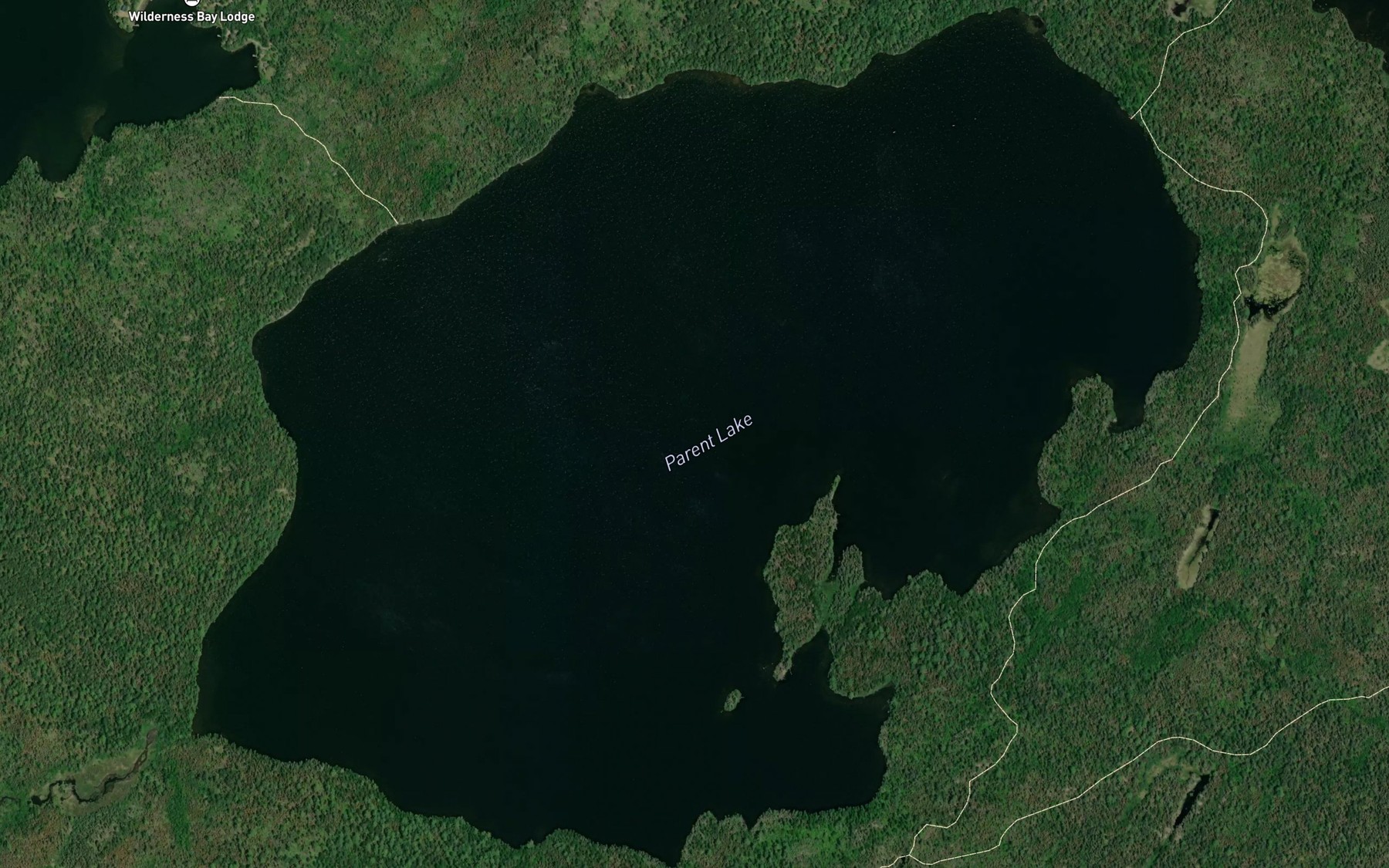 Satellite map of the Parent Lake