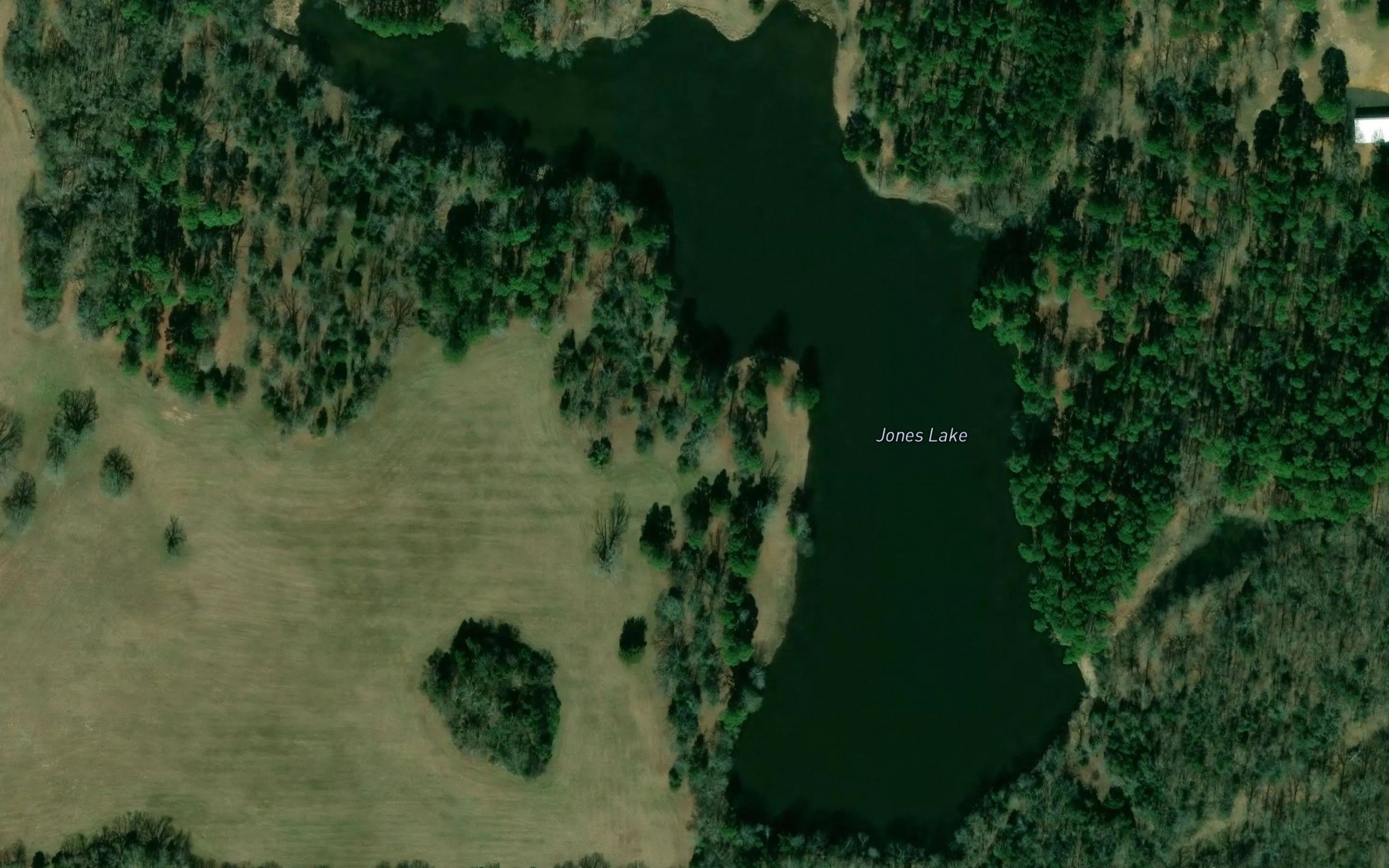 Satellite map of the Jones Lake
