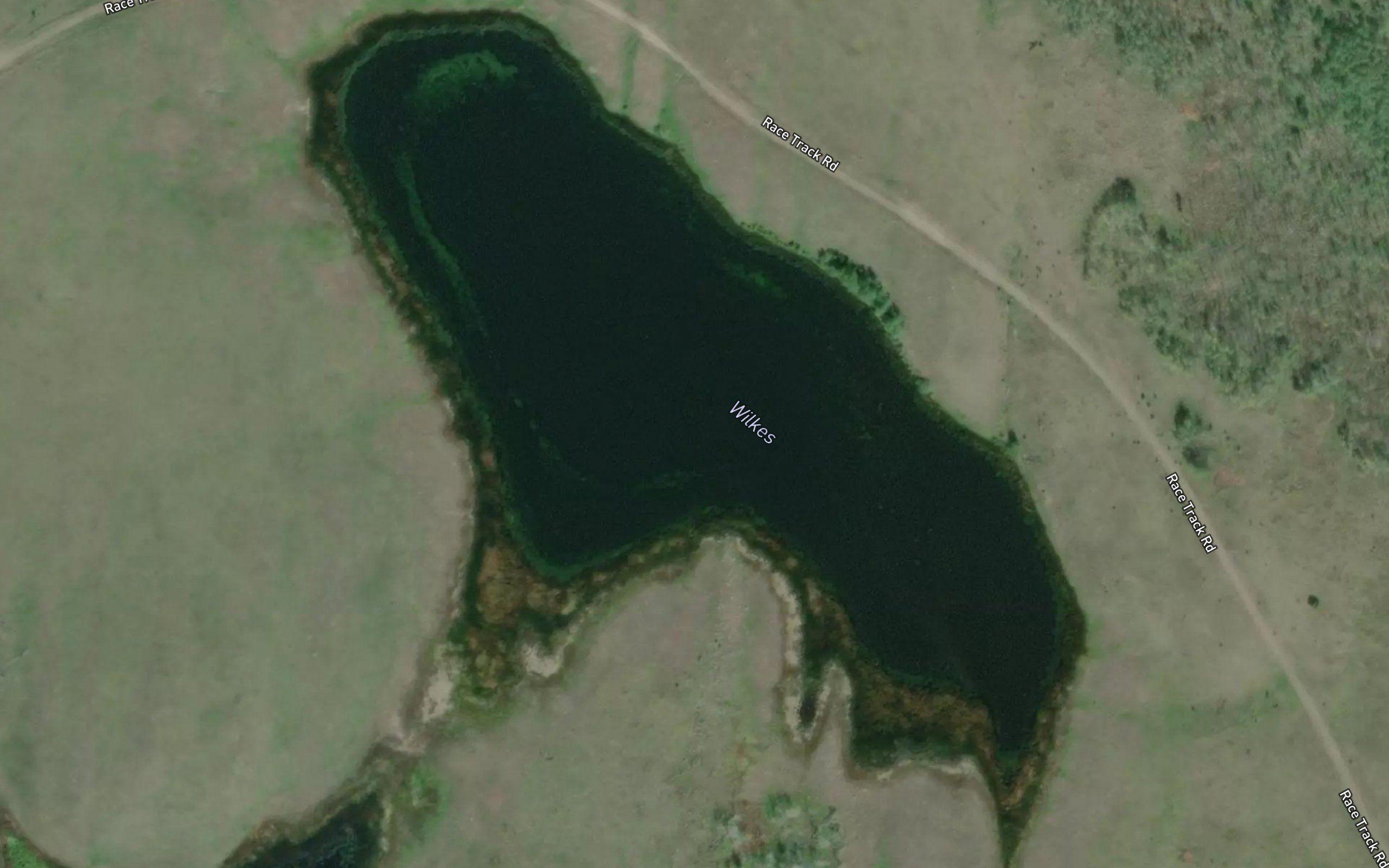 Lake Wilkes