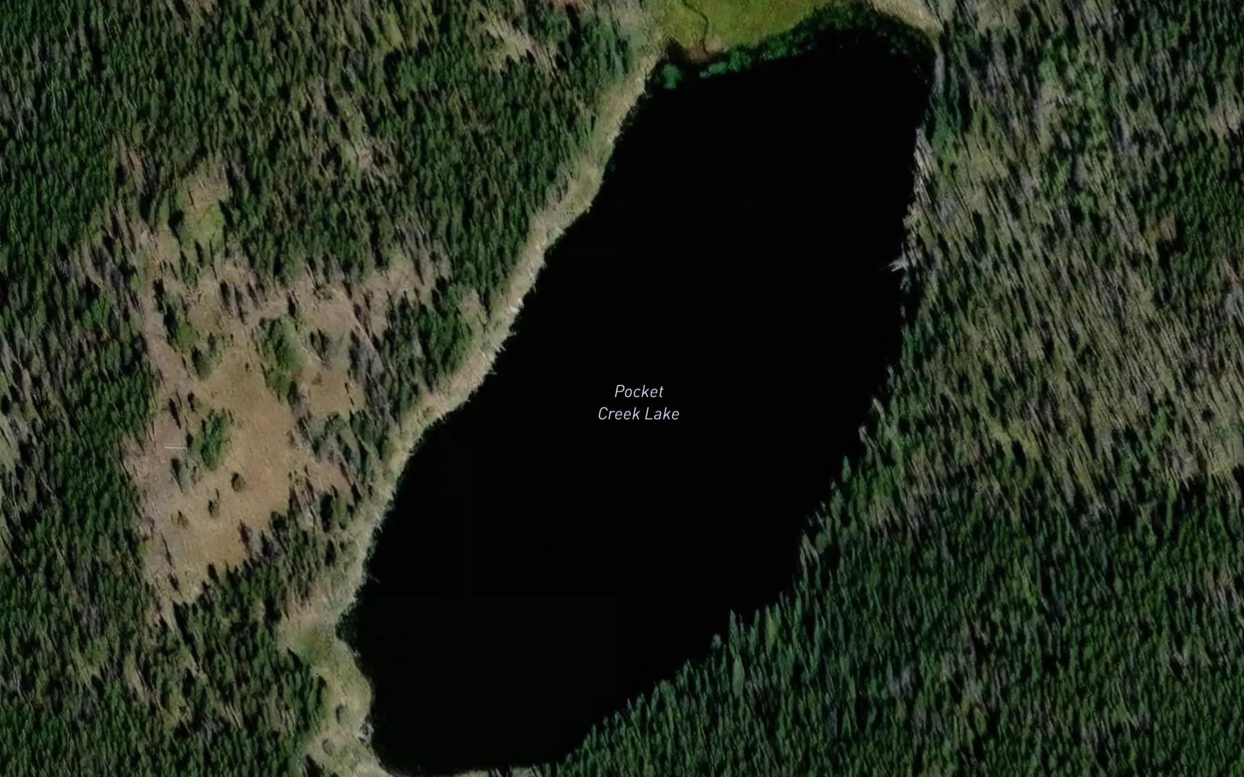 Satellite map of the Pocket Creek Lake