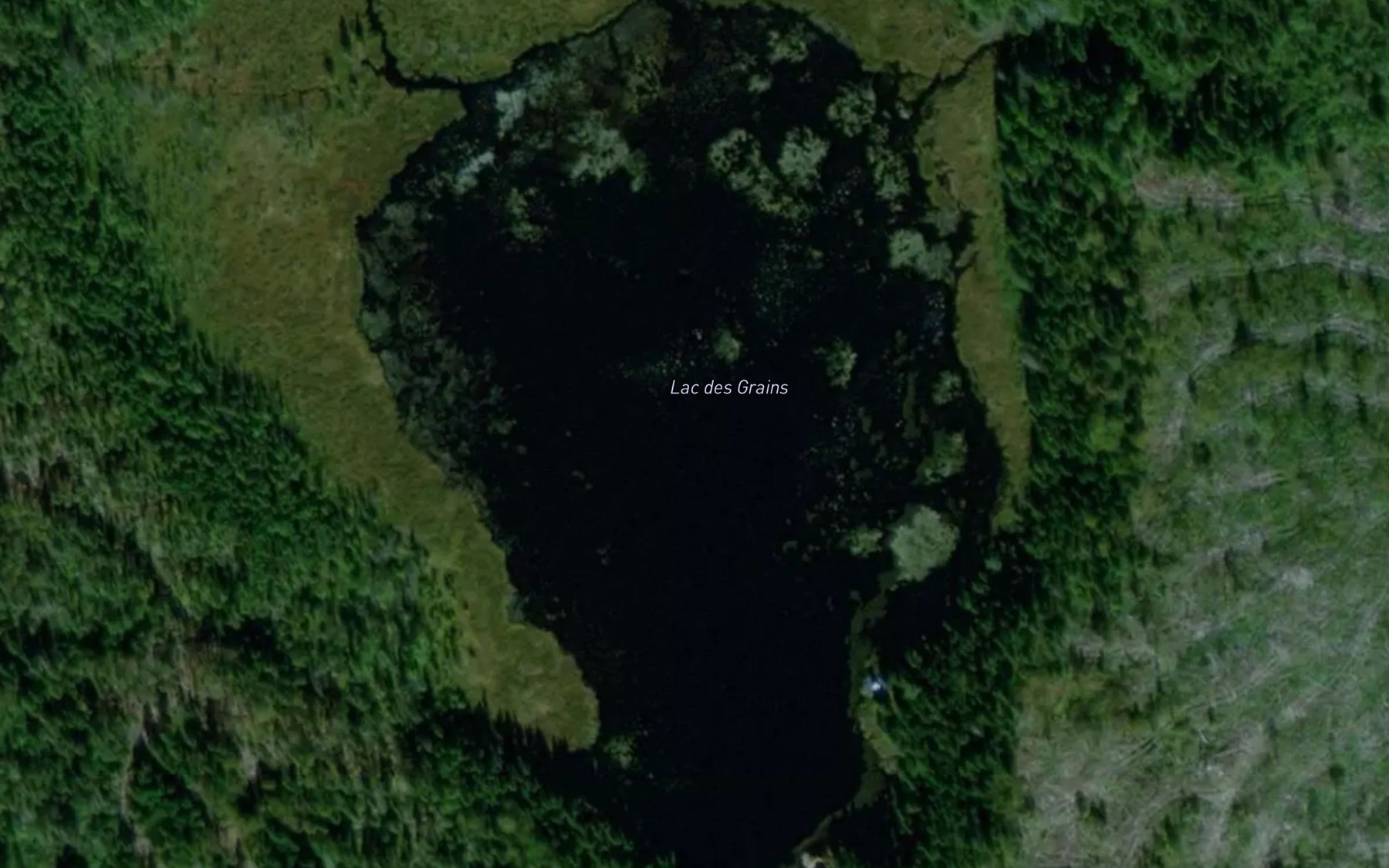 Satellite map of the Lac des Grains