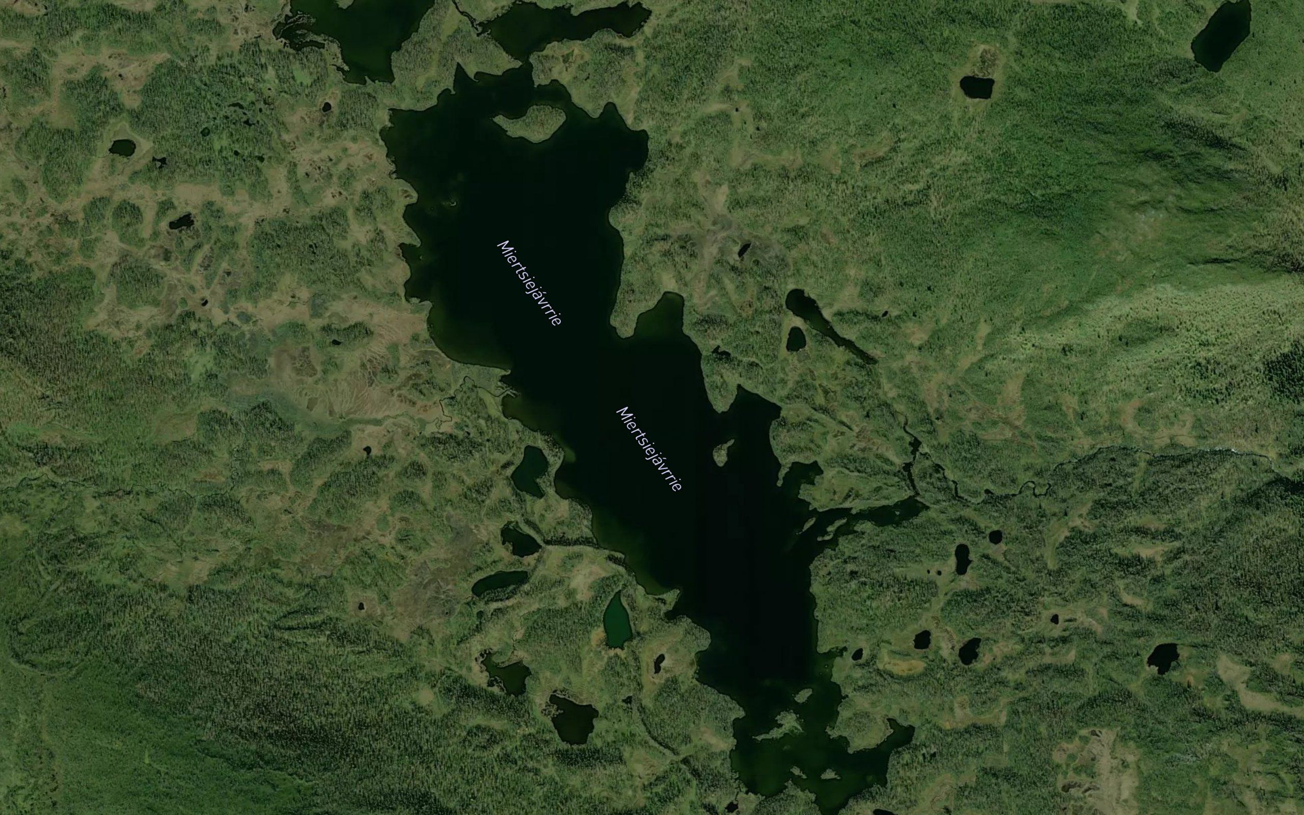Mertjaure