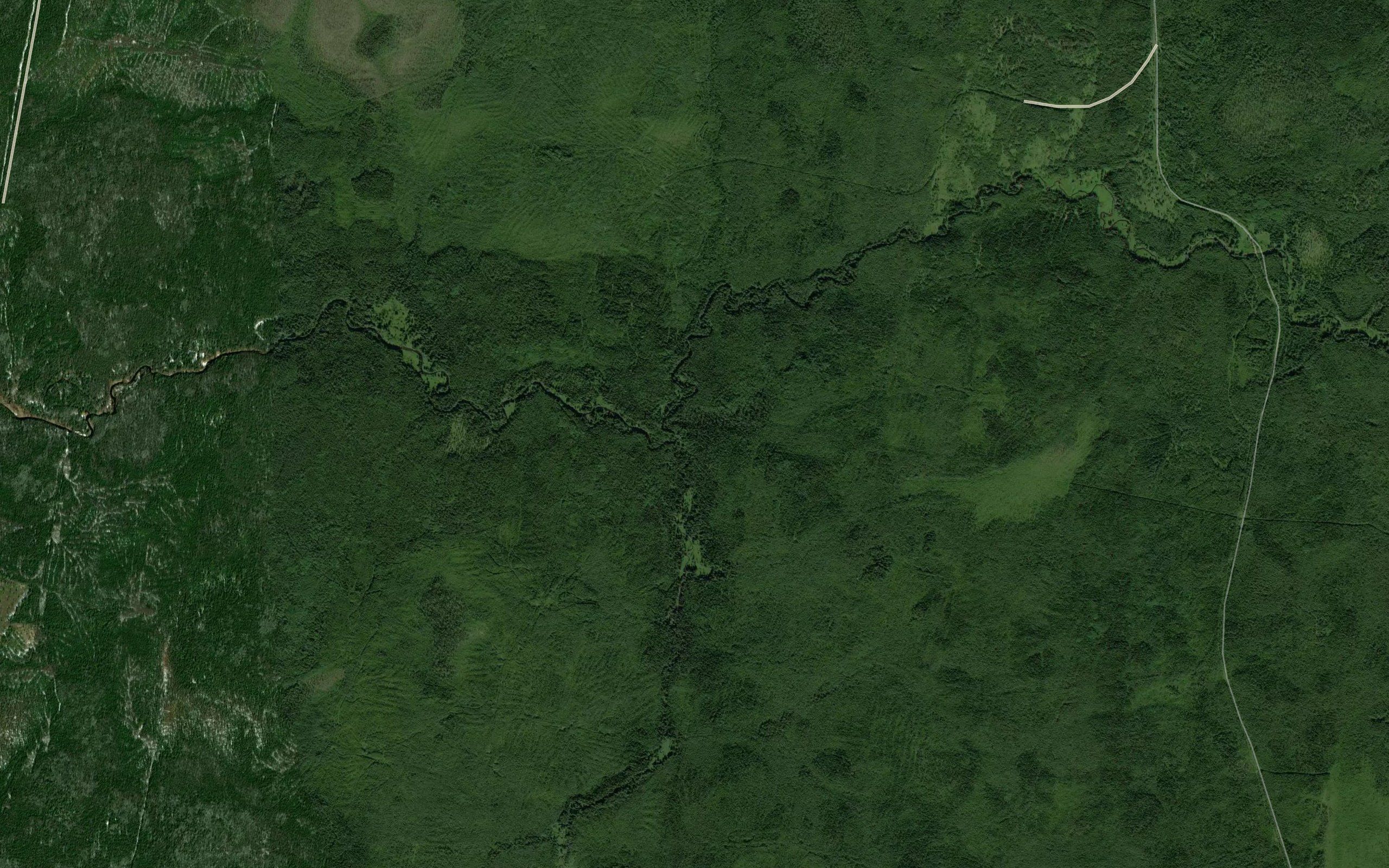Letnyaya Shenchuga