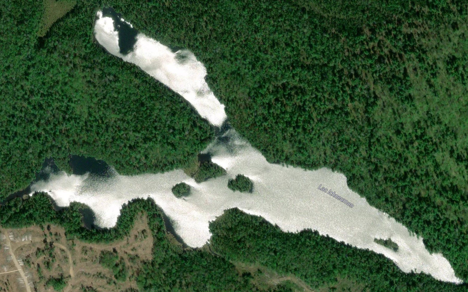 Satellite map of the Lac Ichneumon