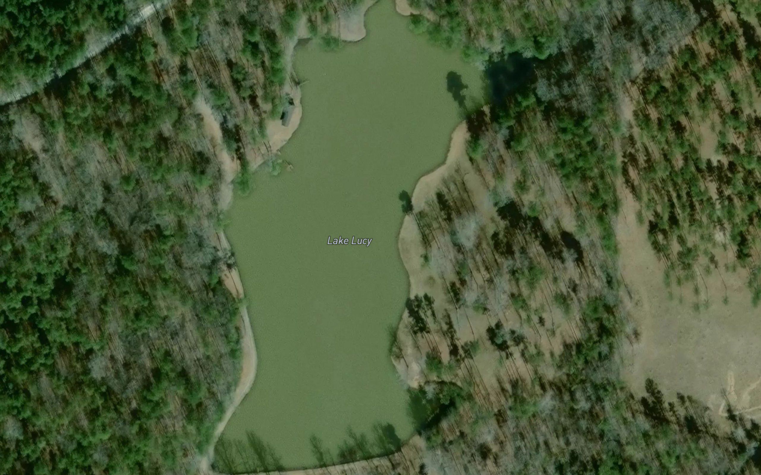 Lake Lucy