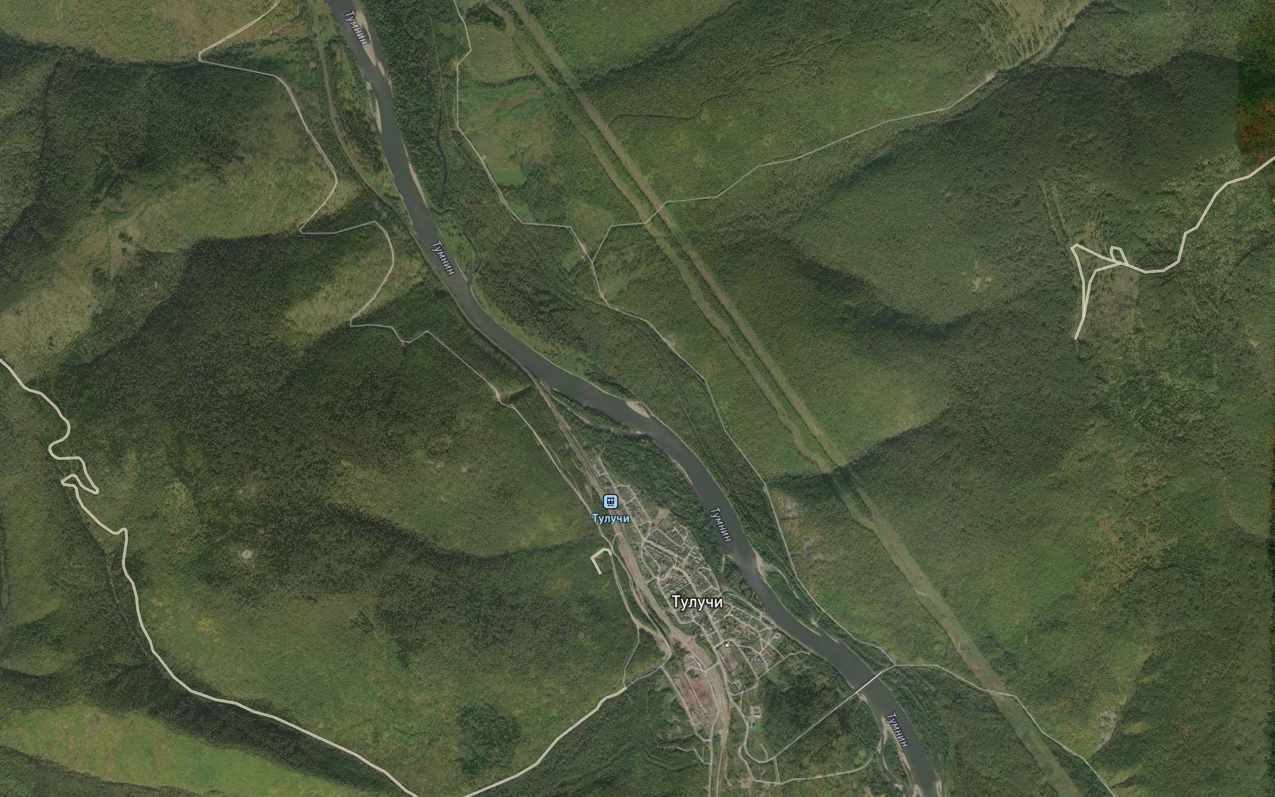 Gadua