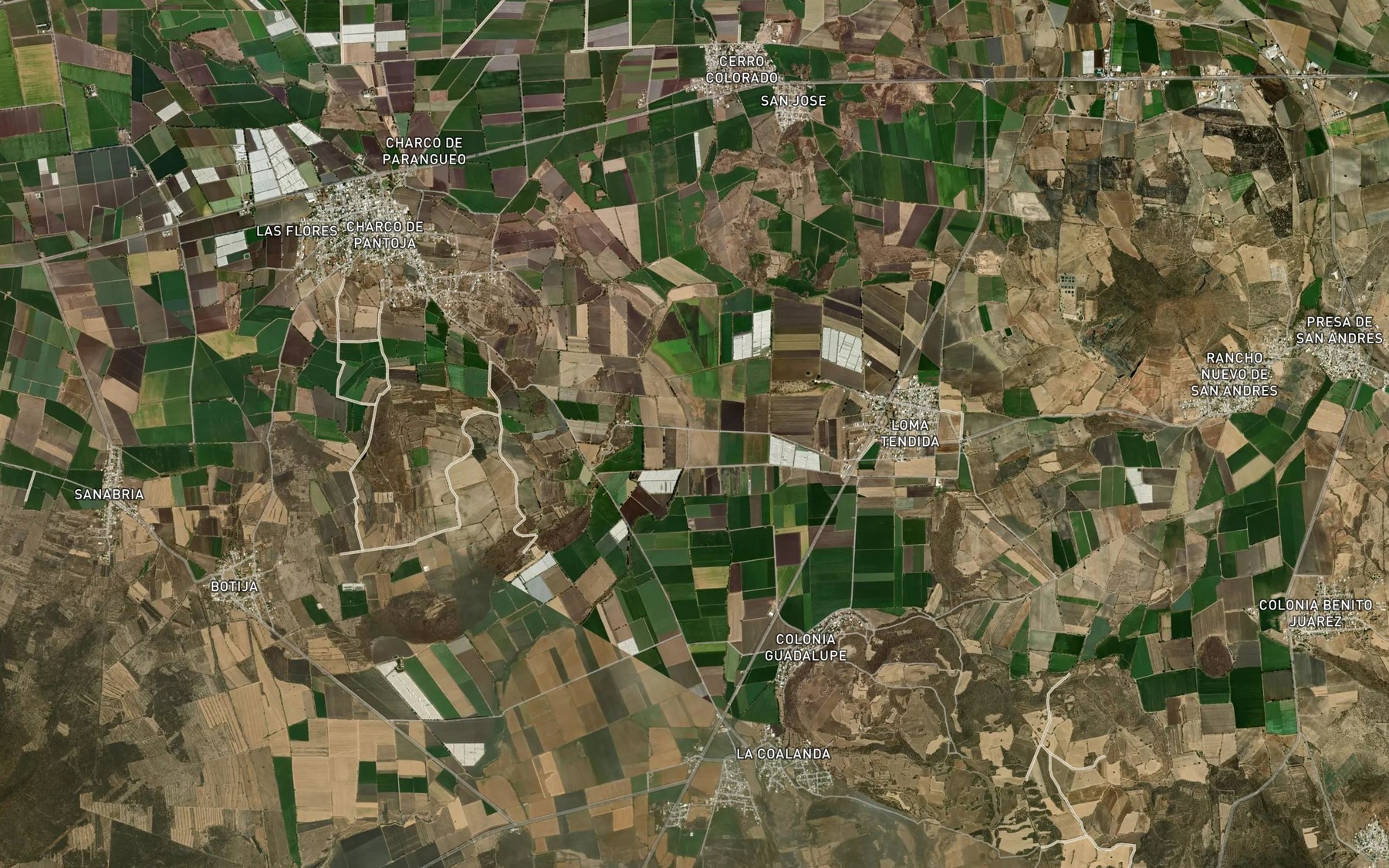 Satellite map of the Las Cojas