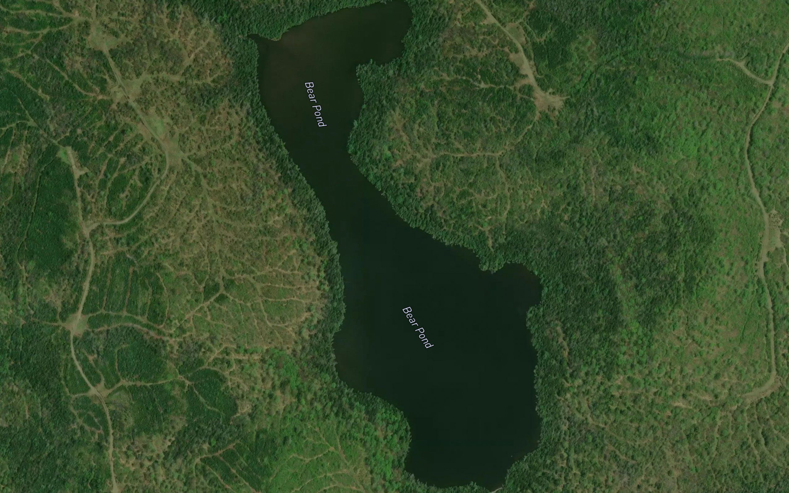 Bear Pond
