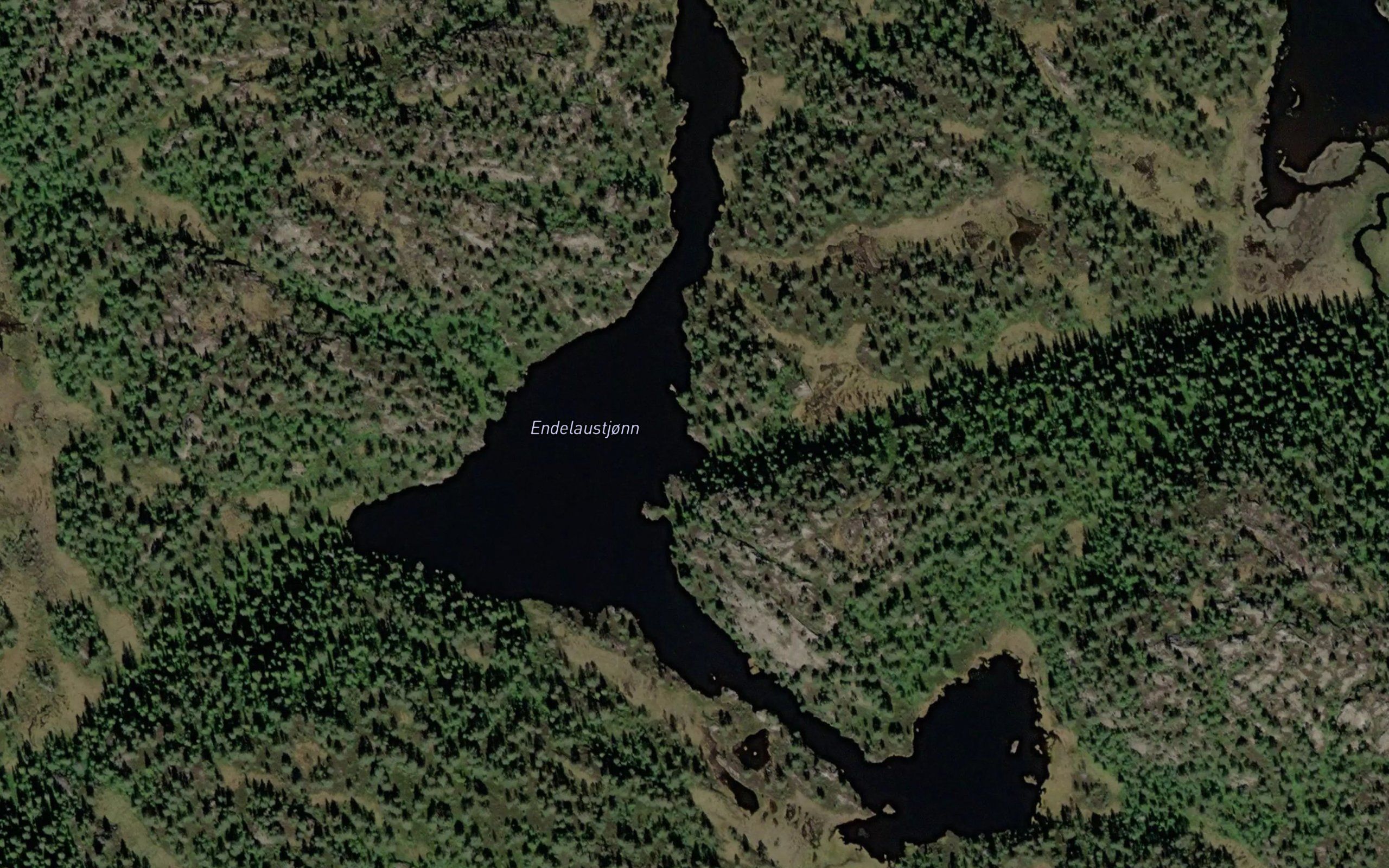 Endelaustjorn