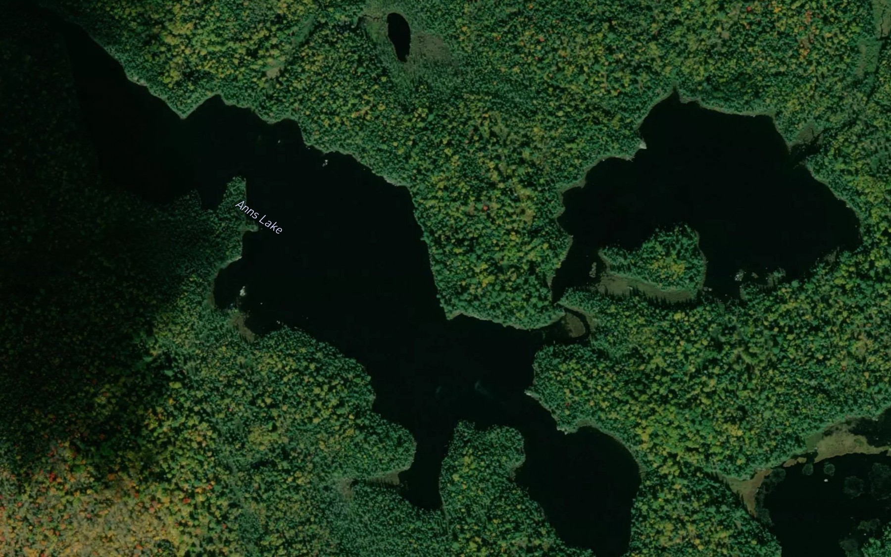 Satellite map of the Anns Lake