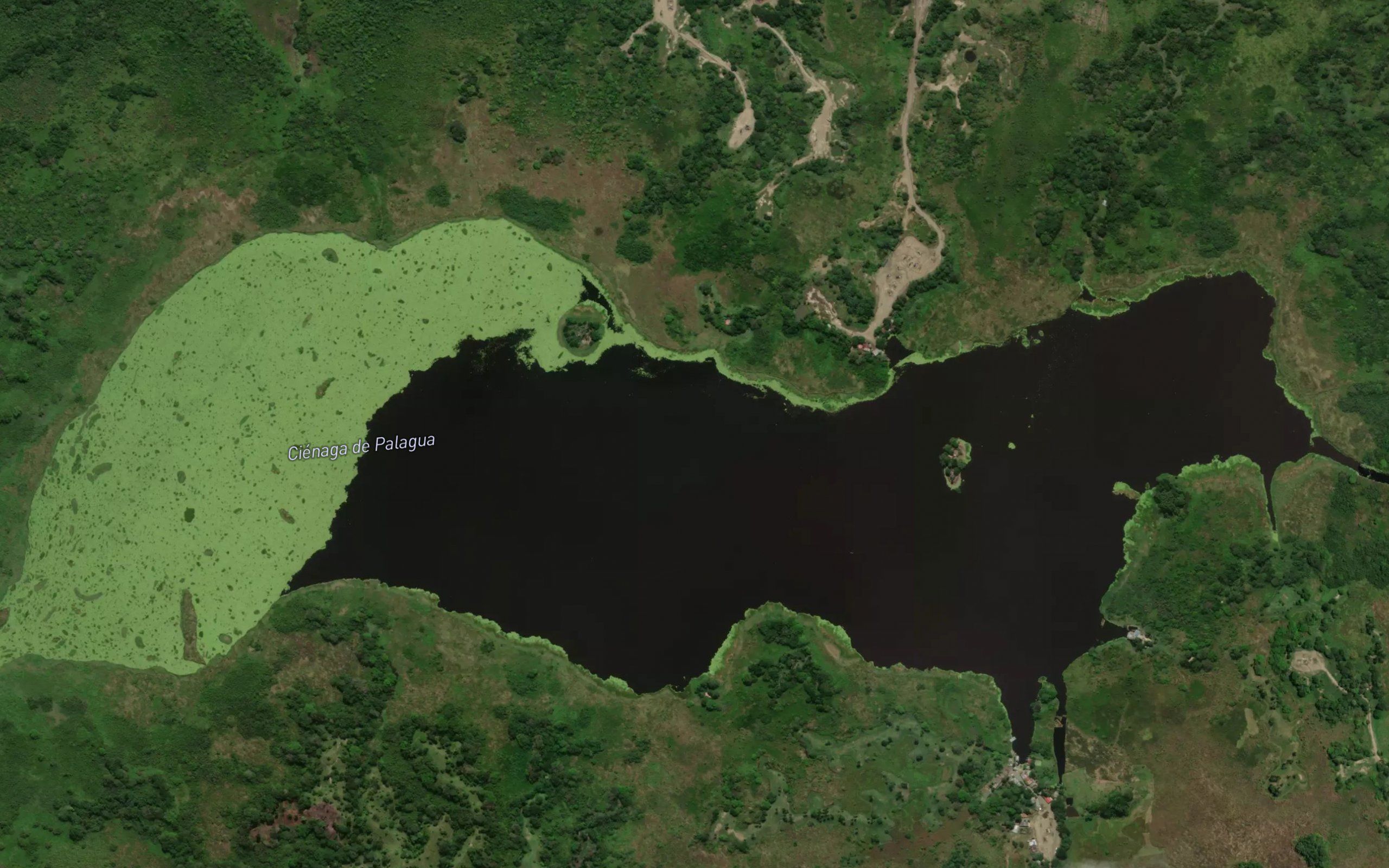 Cienaga de Palagua