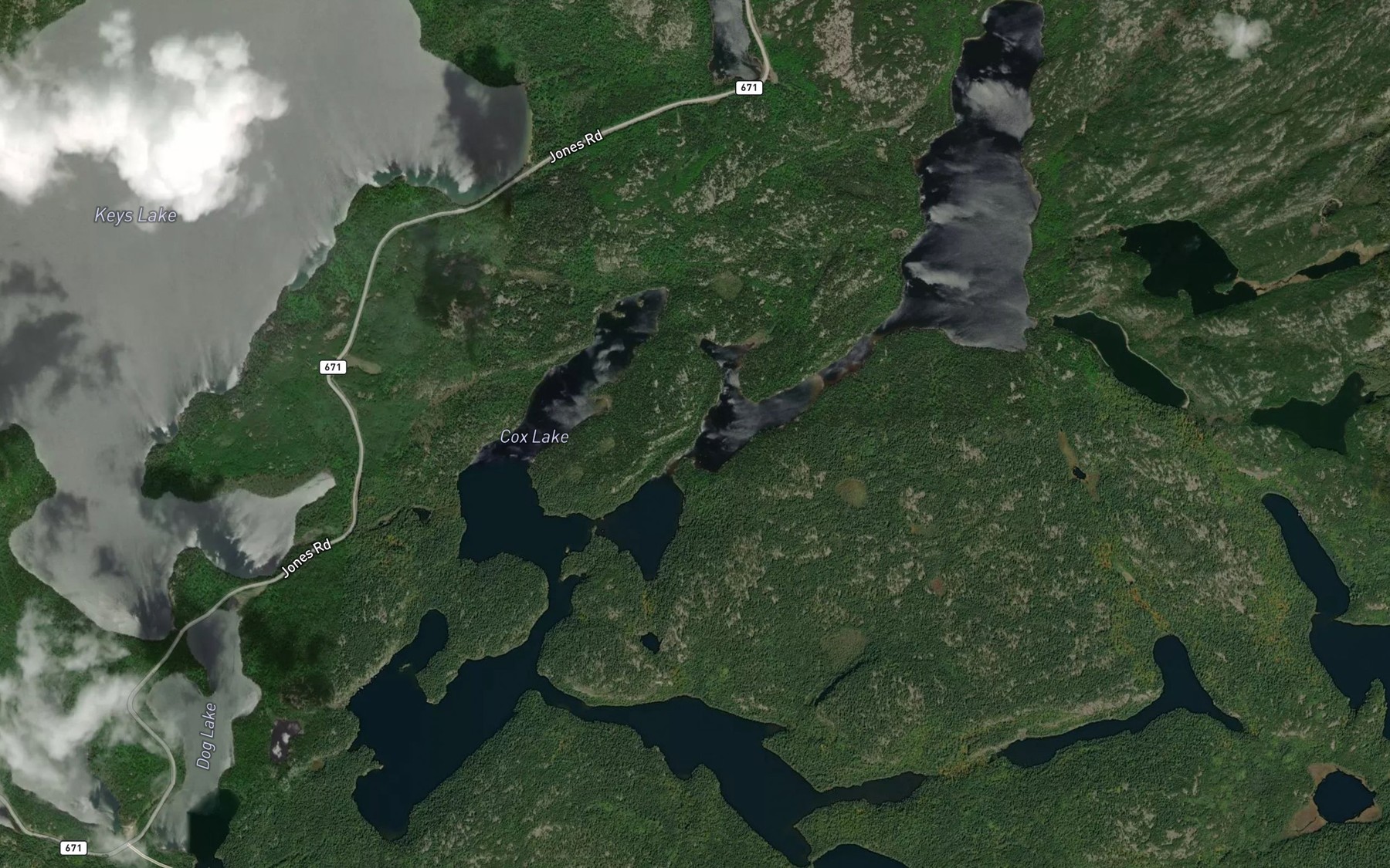 Satellite map of the Cox Lake
