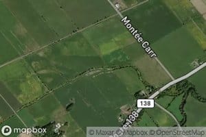 Branche Carrs-Rutherford