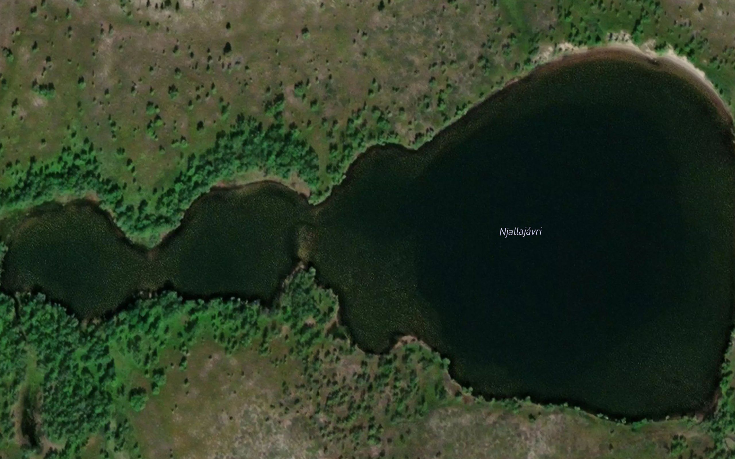 Njallajavri