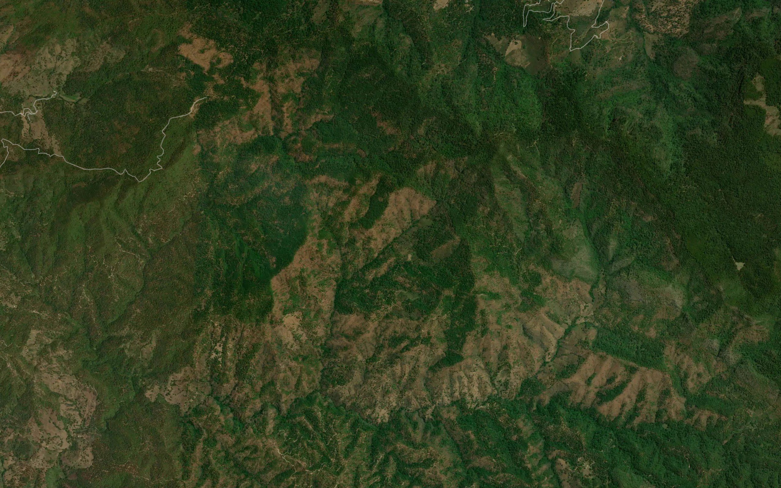 Barranca La Paloma