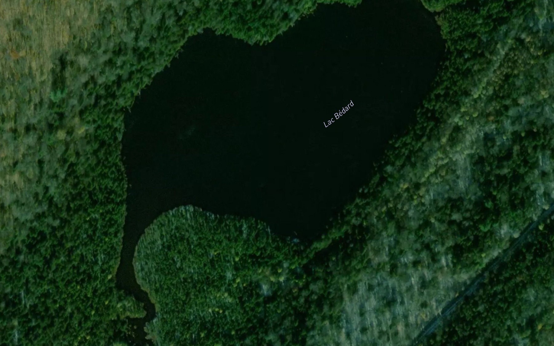 Satellite map of the Lac Bedard
