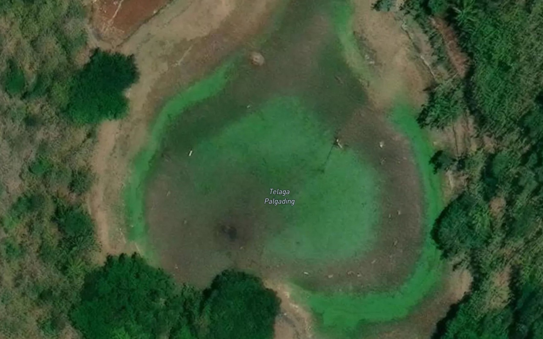 Satellite map of the Danau Palgading