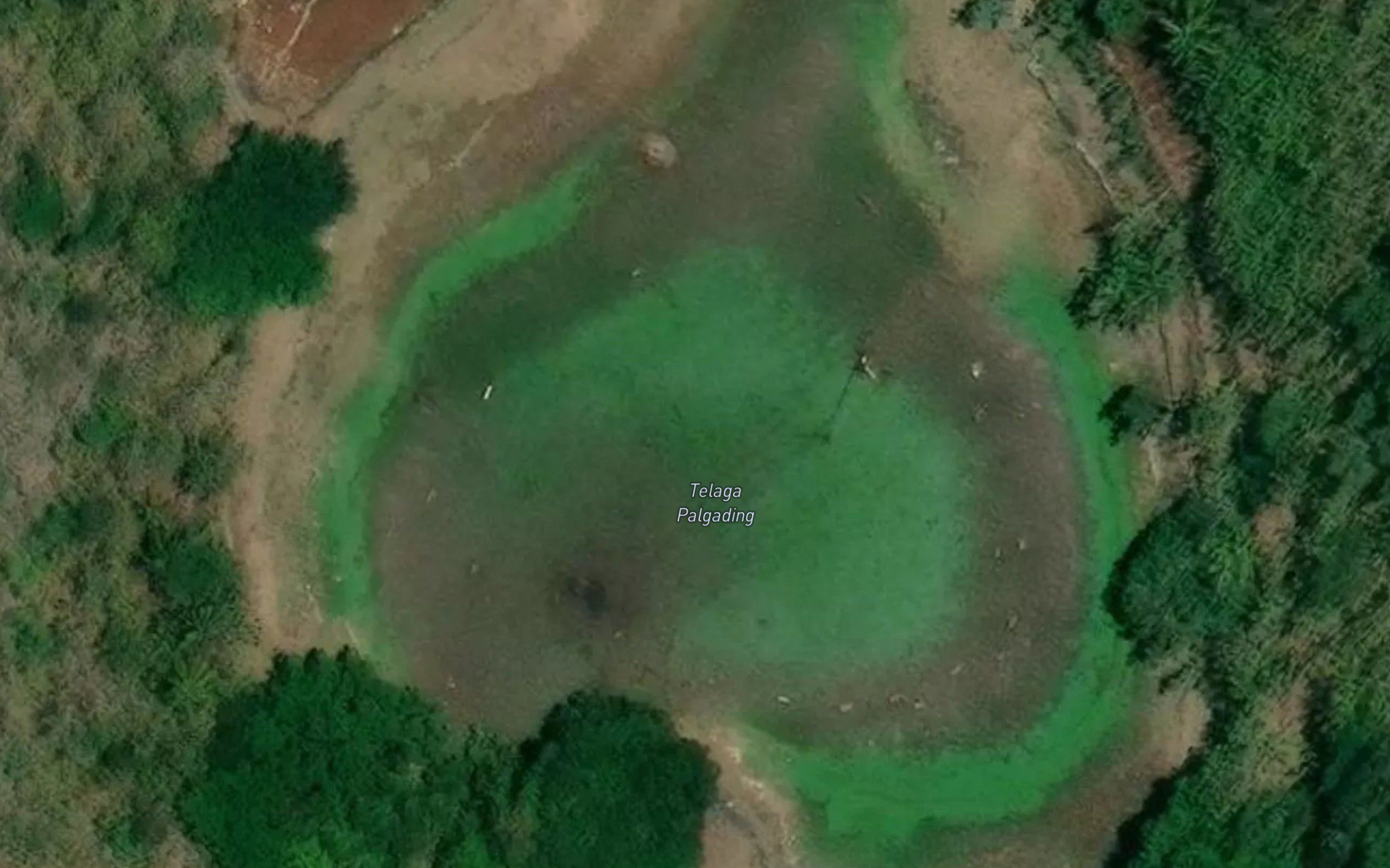 Danau Palgading