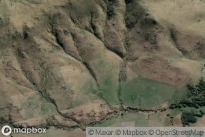 Paddys Market Stream