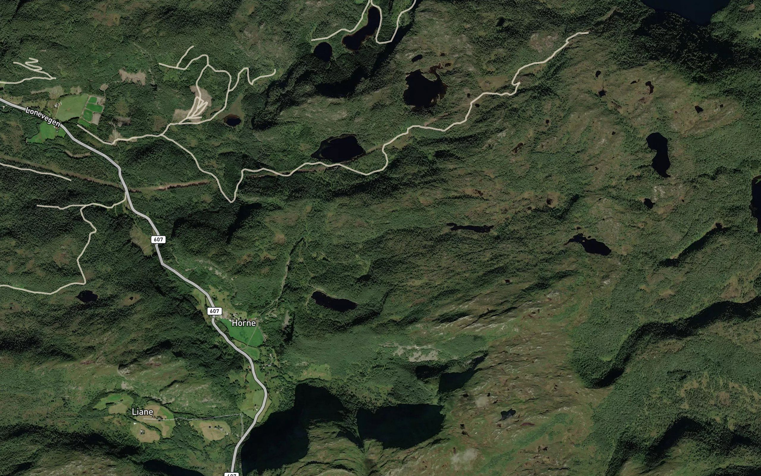 Hornselva