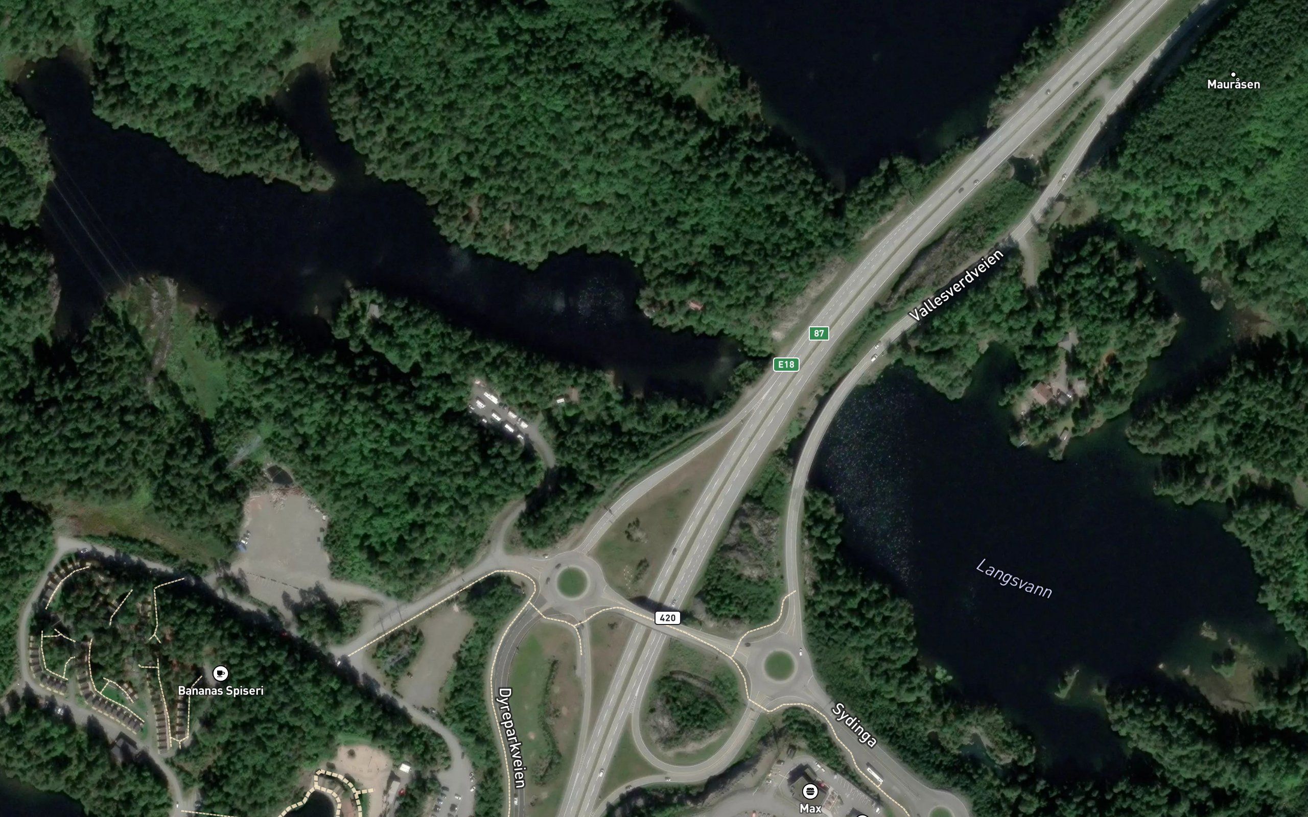 Langsvann